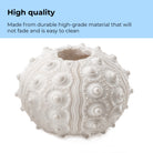 Sea Urchins Set - High quality