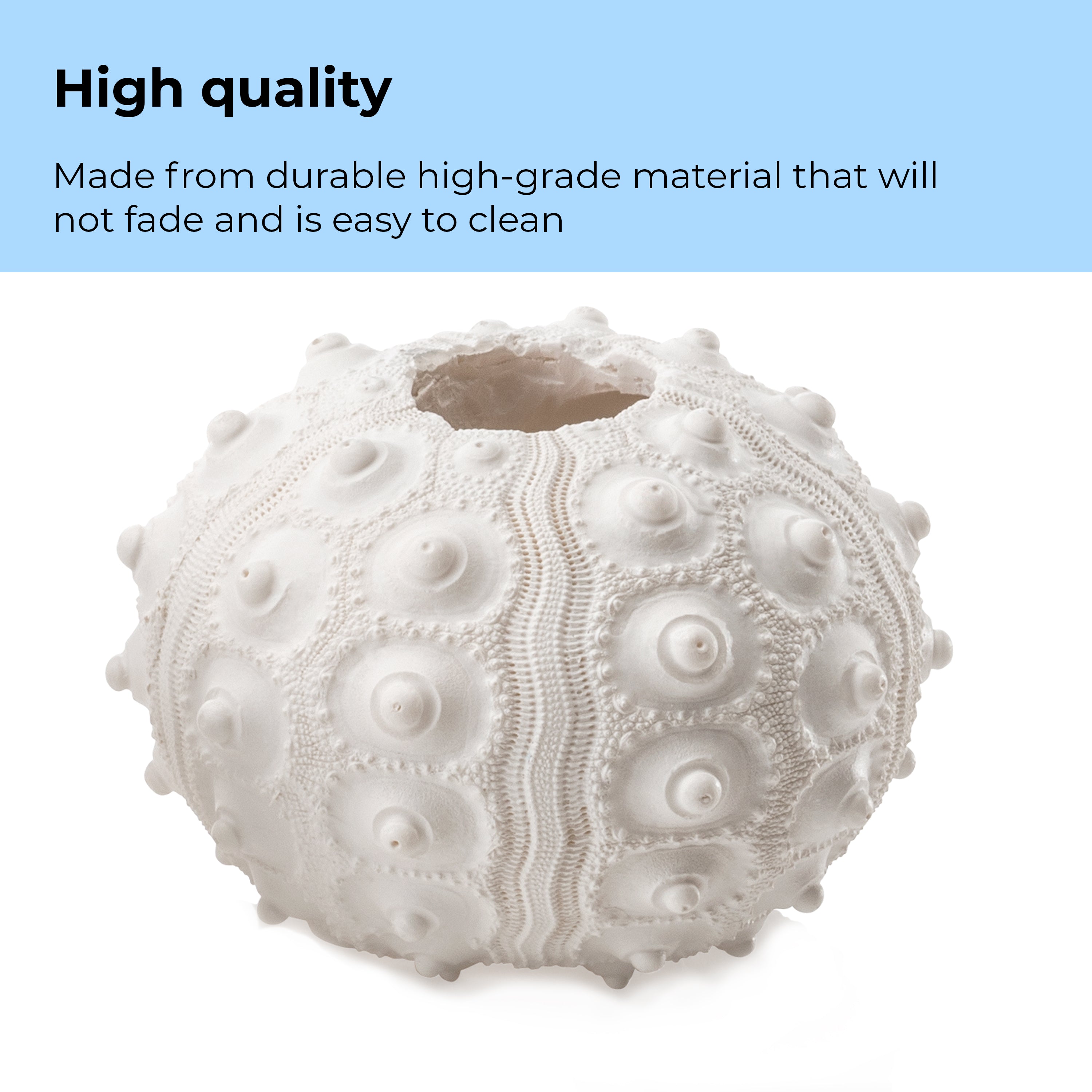 Sea Urchins Set - High quality