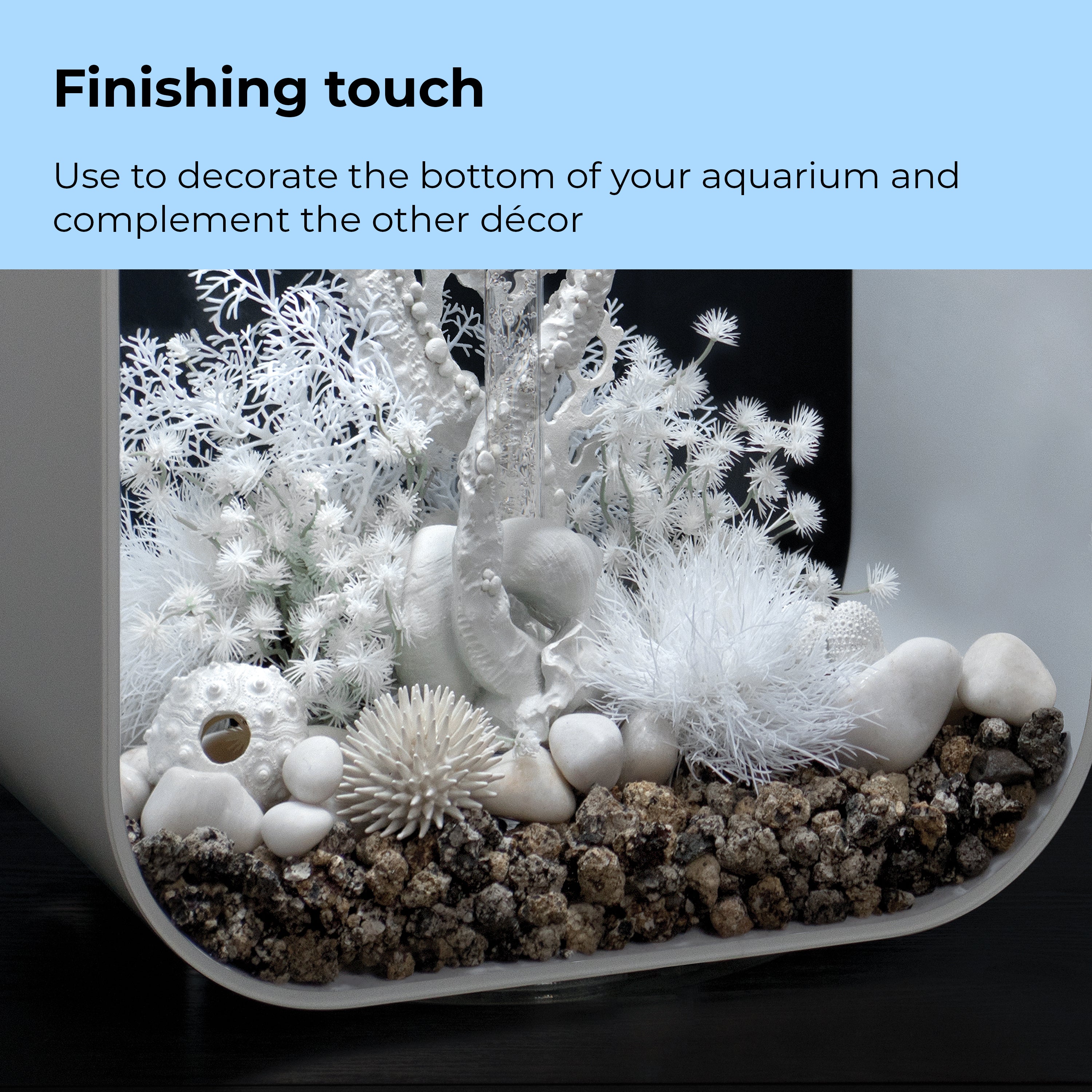 Sea Urchins Set - Finishing touch