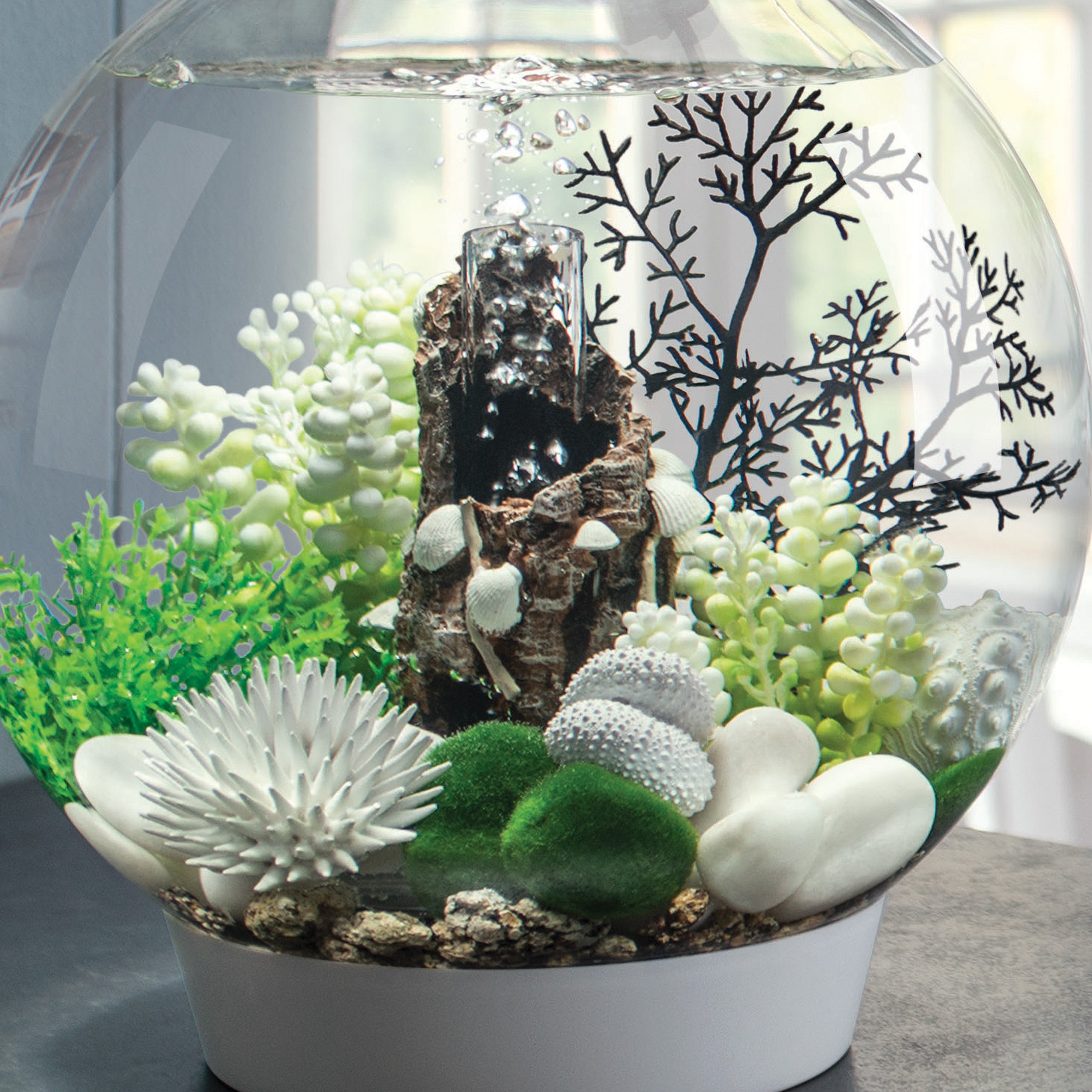 Sea Urchins Set - White In use