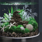 Sea Urchins Set - White In use