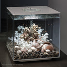 Sea Urchins Set - Natural In use