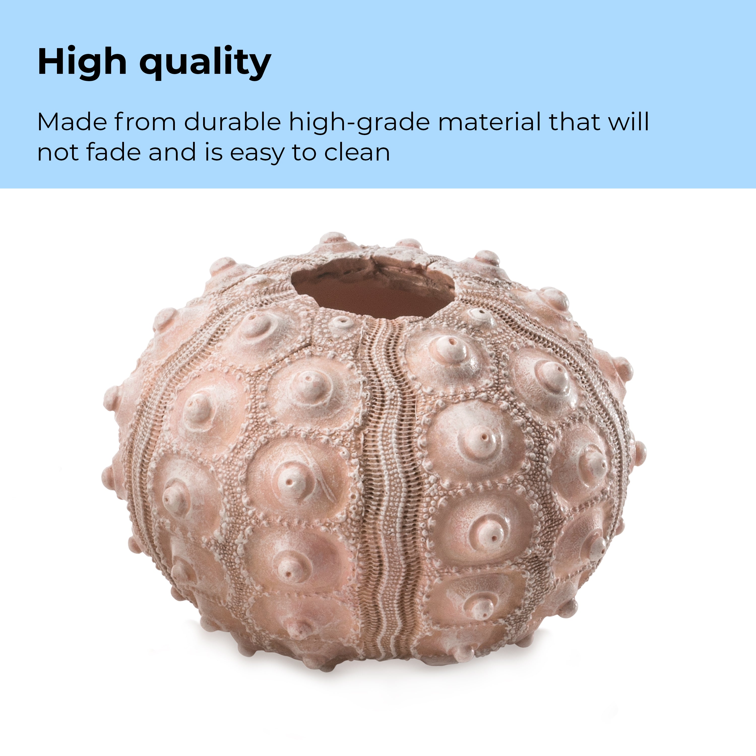 Sea Urchins Set - High quality