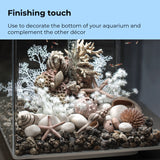 Sea Urchins Set - Finishing touch