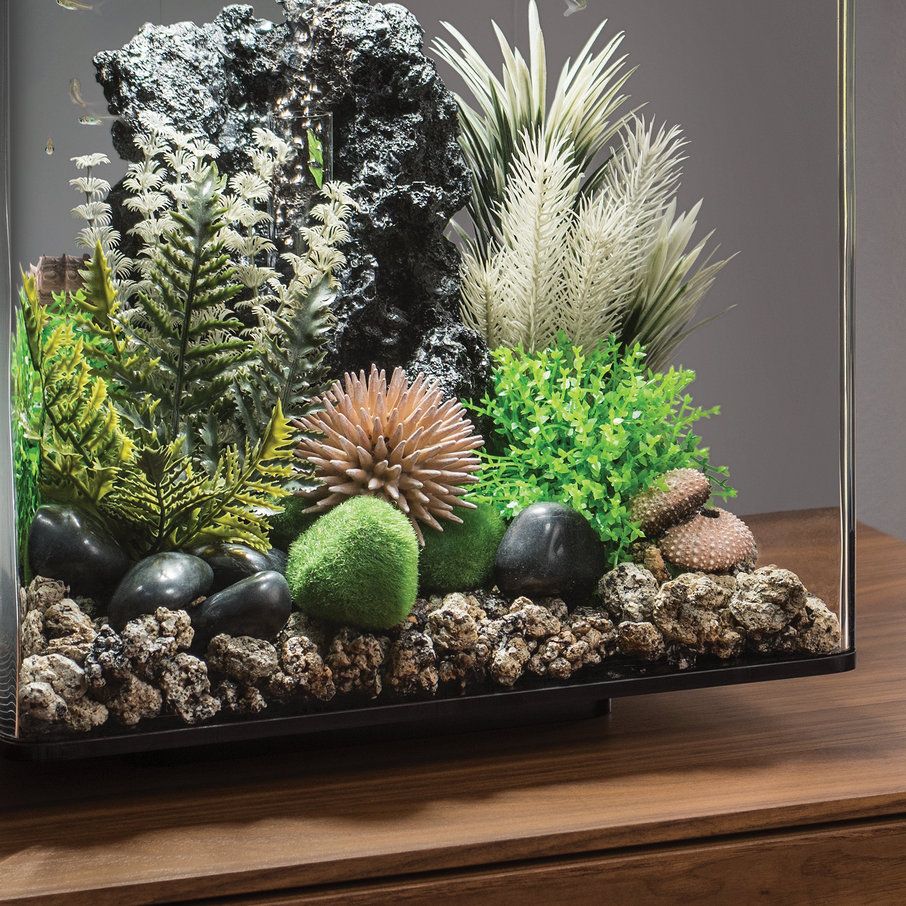 Sea Urchins Set - Natural In use