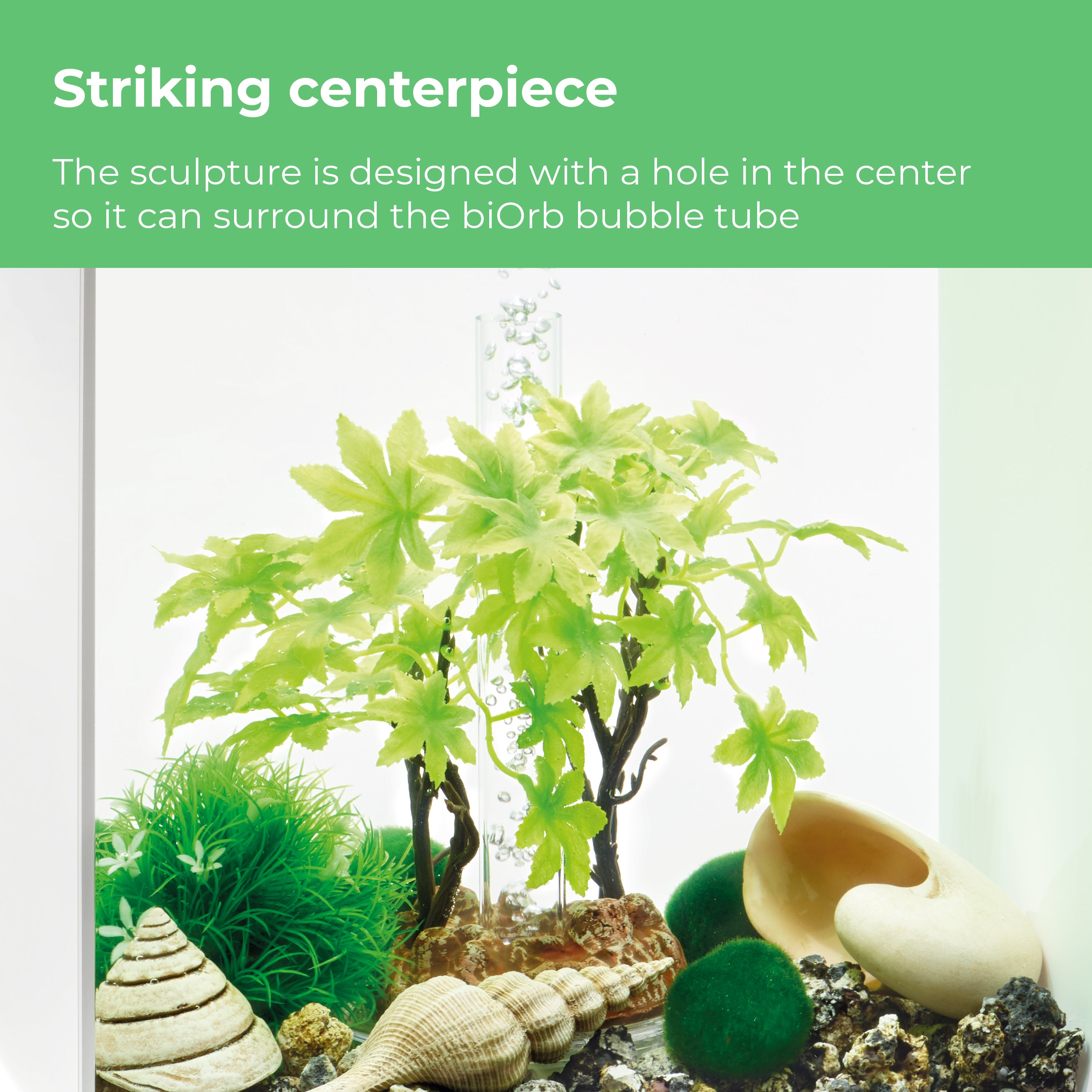 Summer Décor Set, 15L - Striking centerpiece