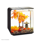 Autumn Décor Set, 30L - In use