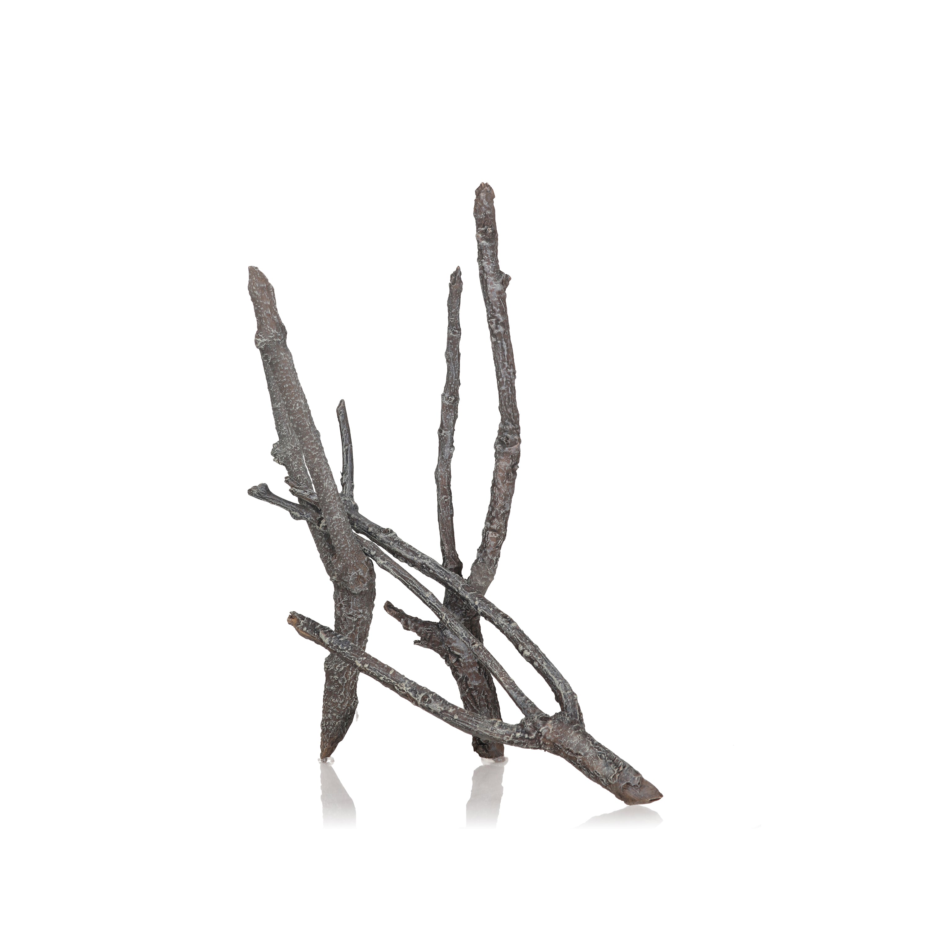 Medium Amazonas Root Sculpture