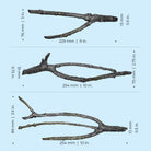 Amazonas Elements Sculpture dimensions