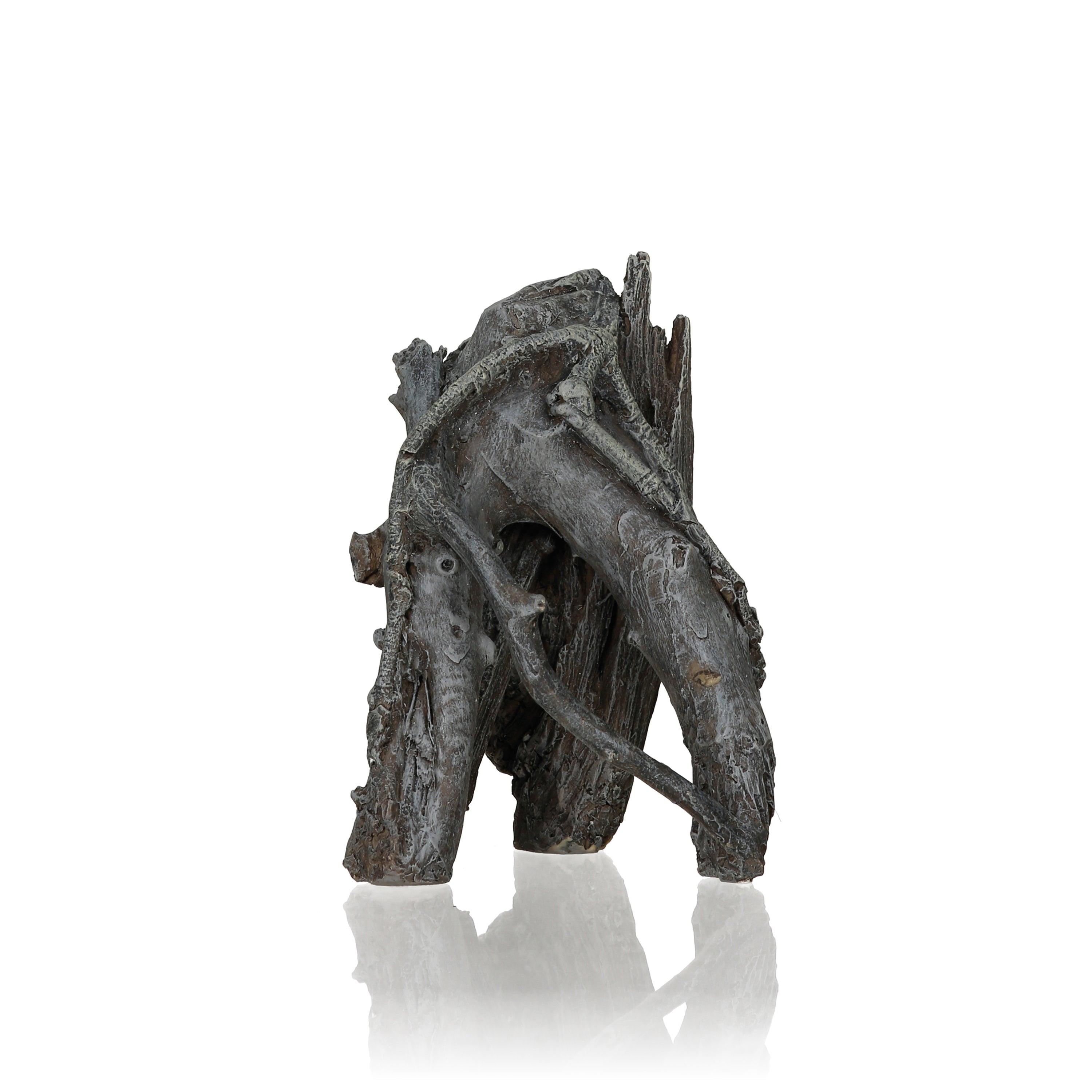 Medium Amazonas Root Sculpture