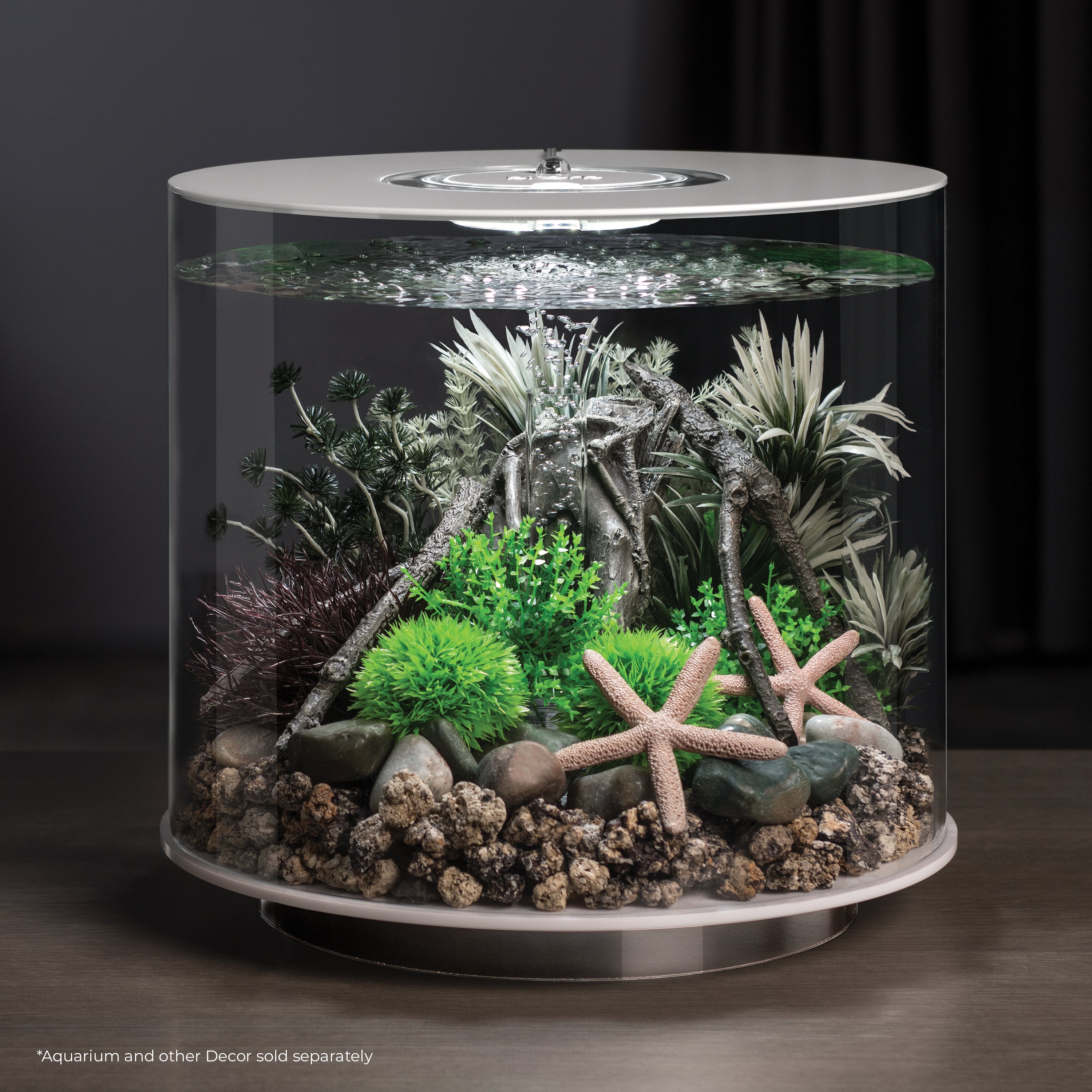 Medium Amazonas Root Sculpture in use