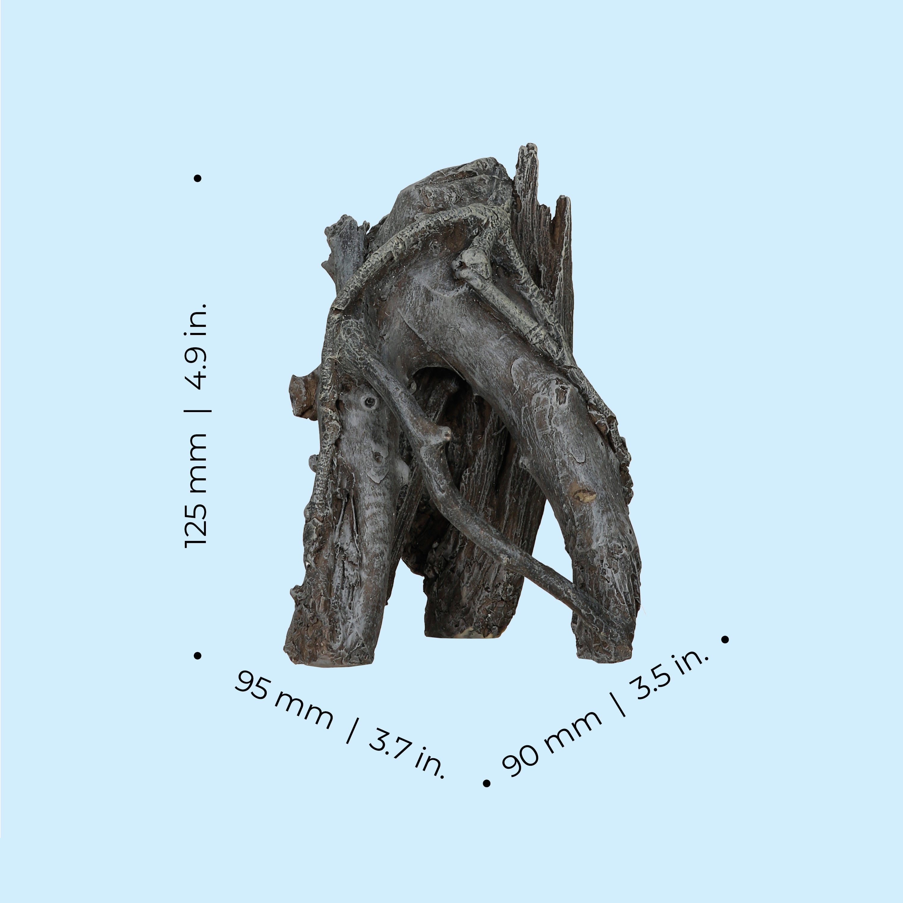 Medium Amazonas Root Sculpture dimensions