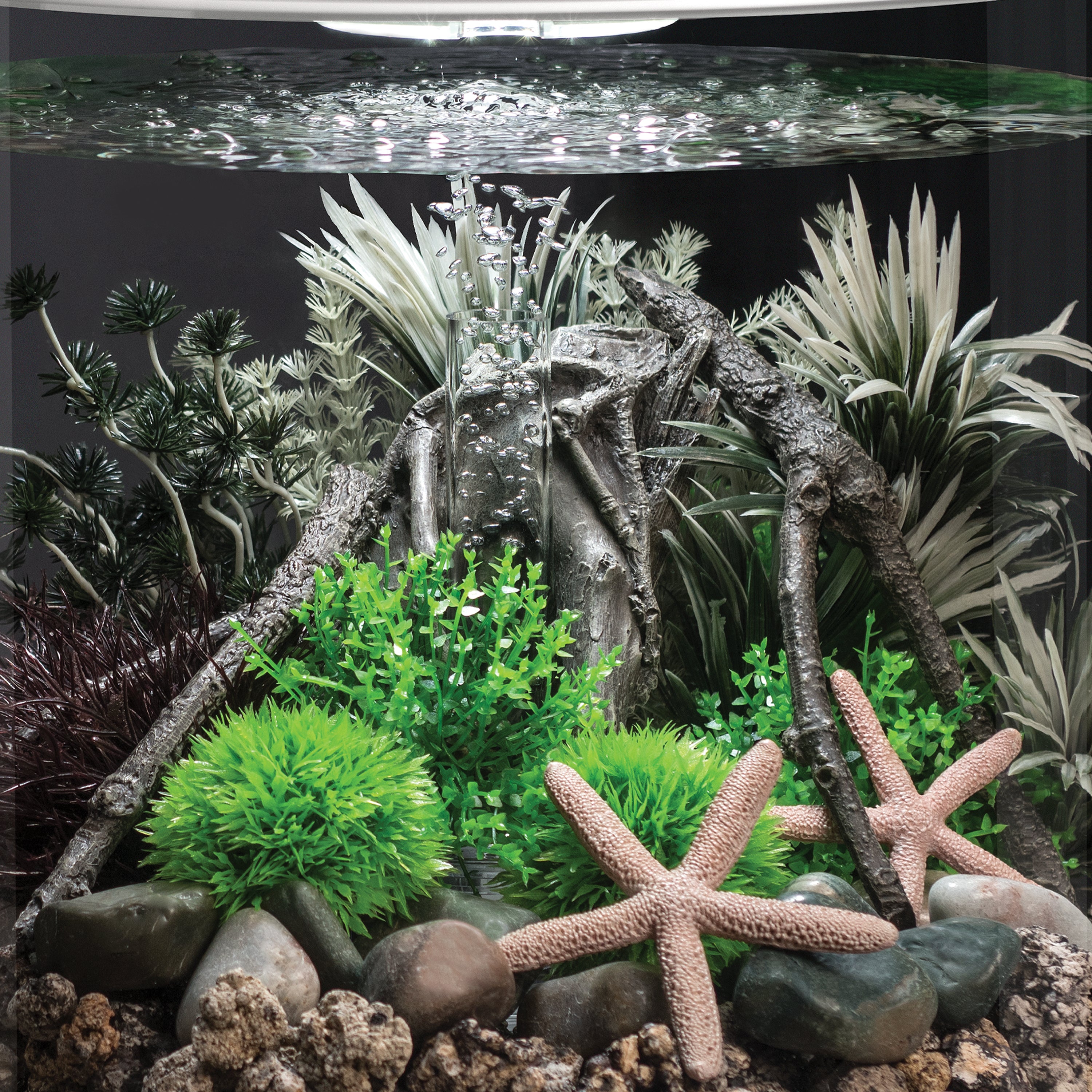 Medium Amazonas Root Sculpture in use