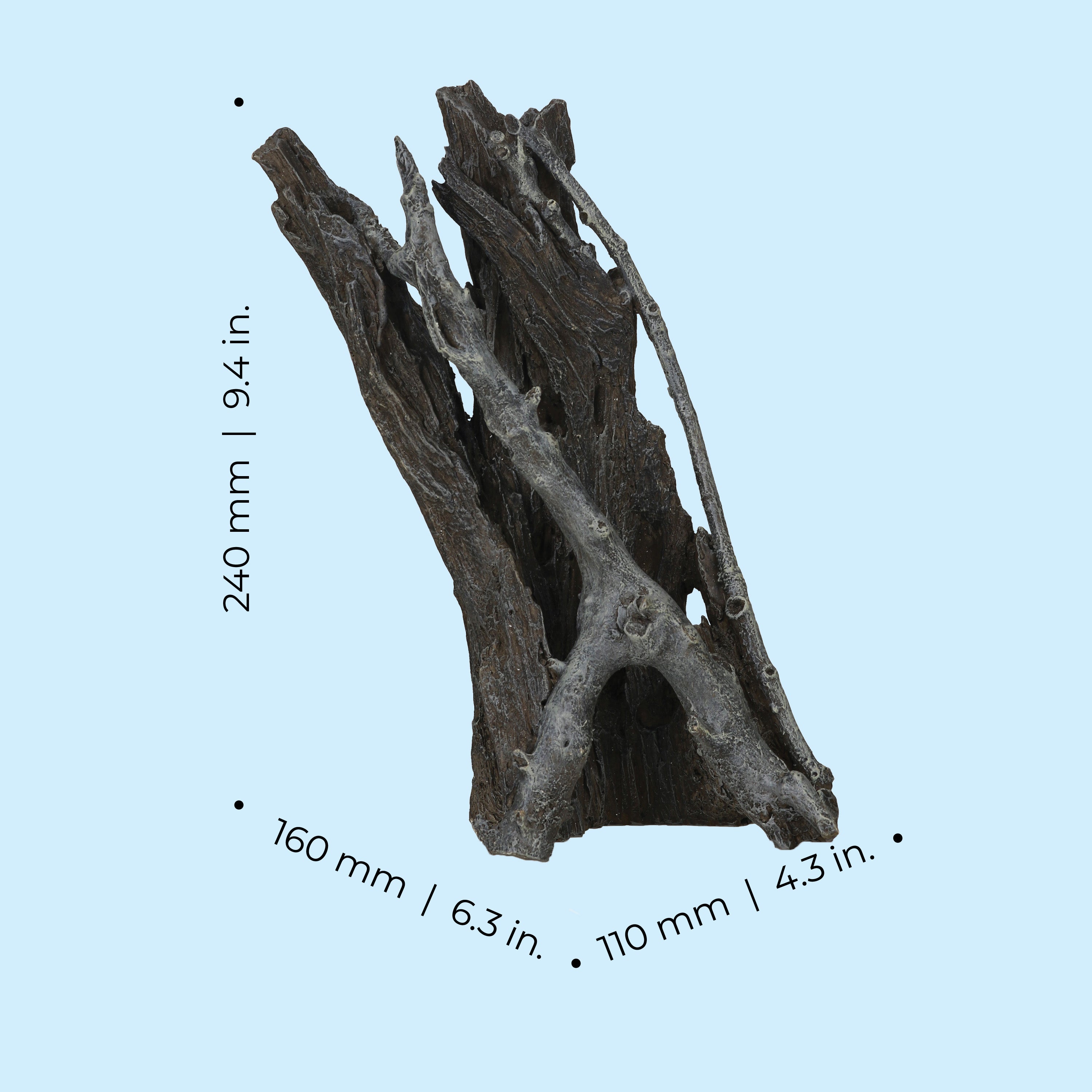 Medium Amazonas Root Sculpture dimensions