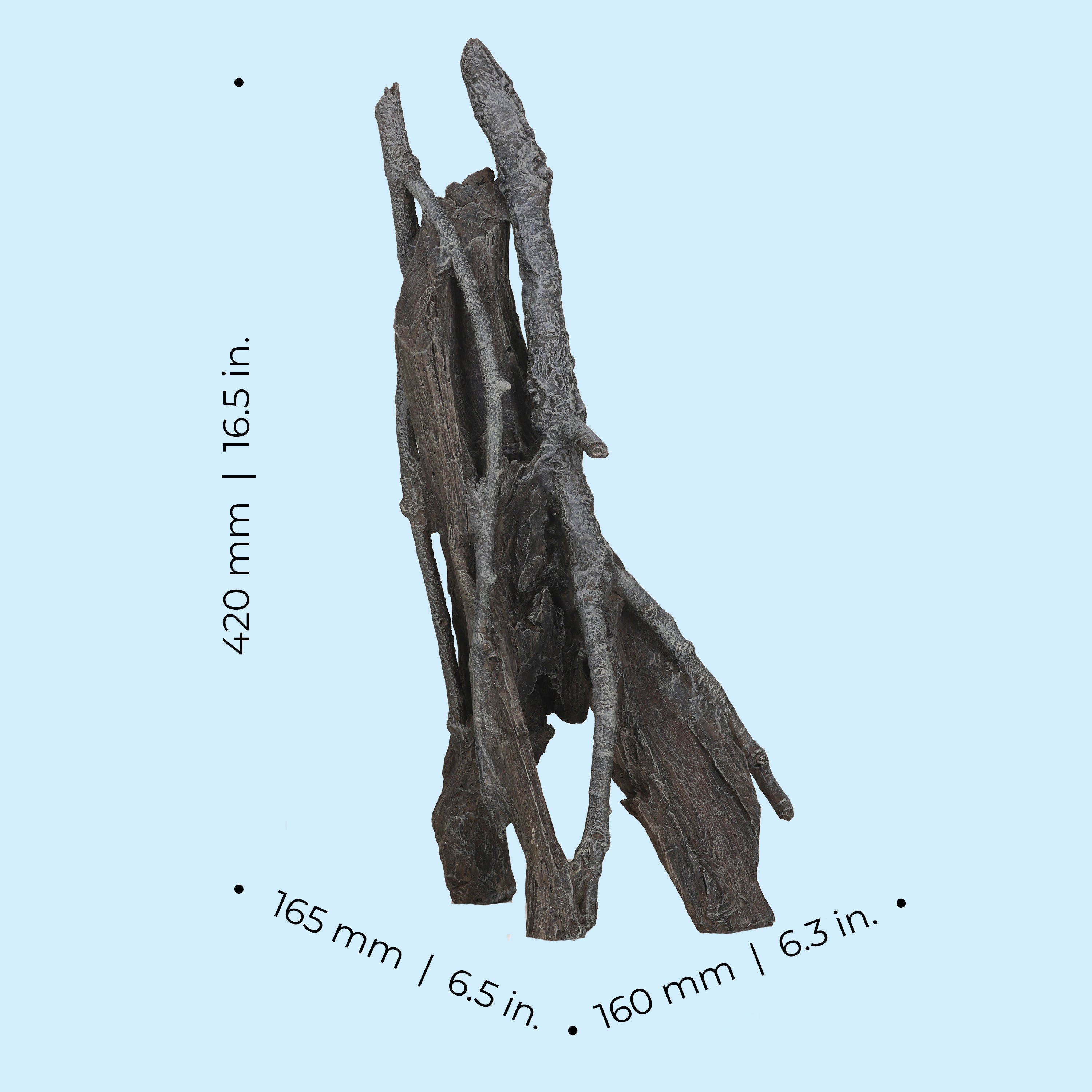 Large Amazonas Root Sculpture dimensions