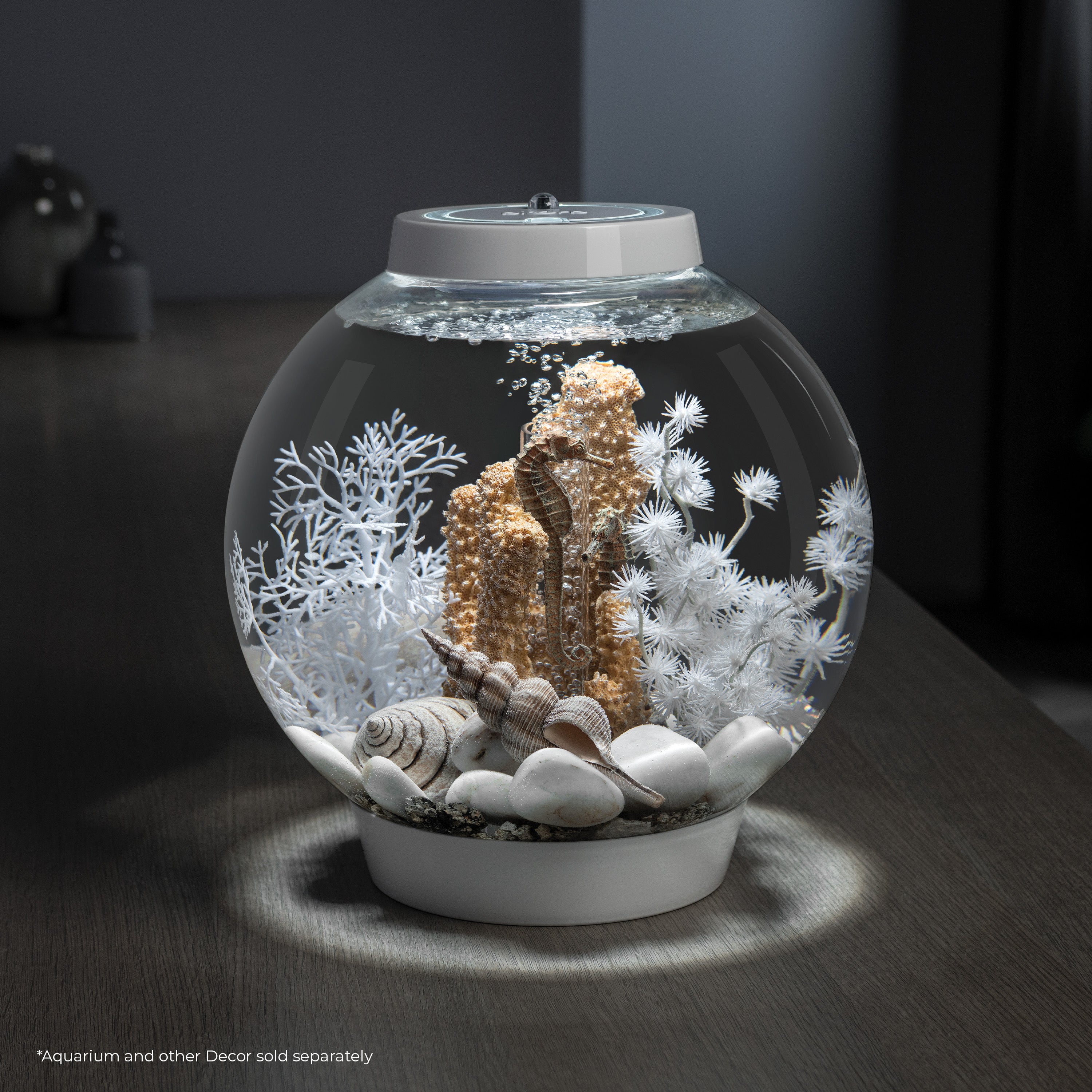 Seahorses on Coral Sculpture, small - Natural In use