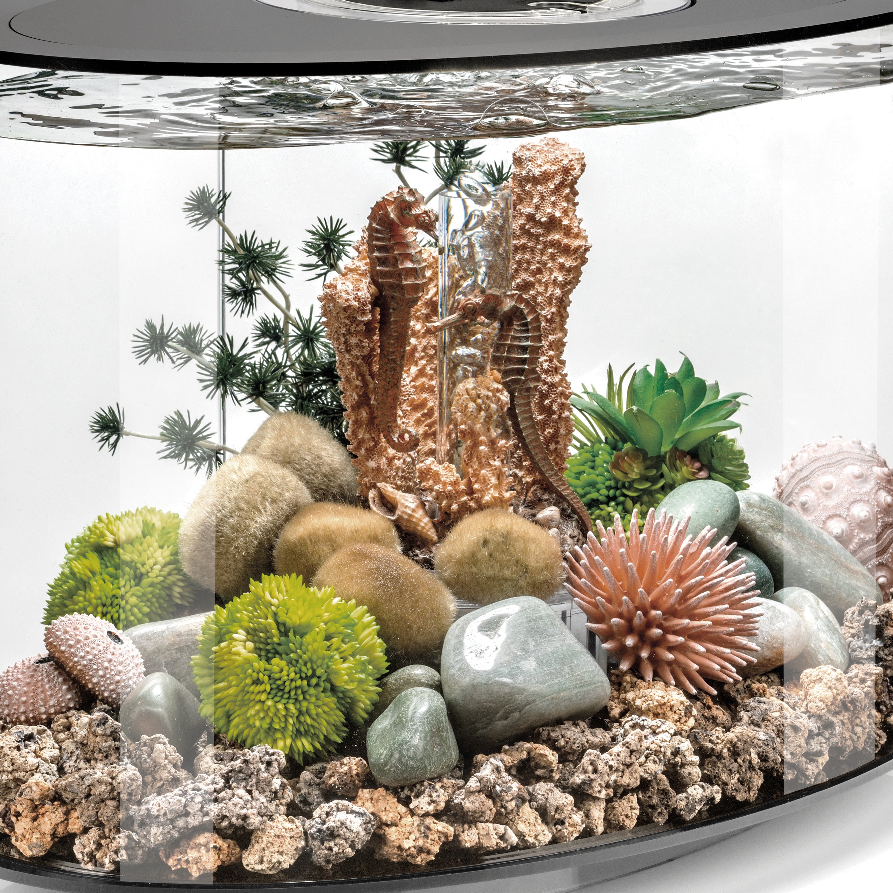Seahorses on Coral Sculpture, small - Natural In use