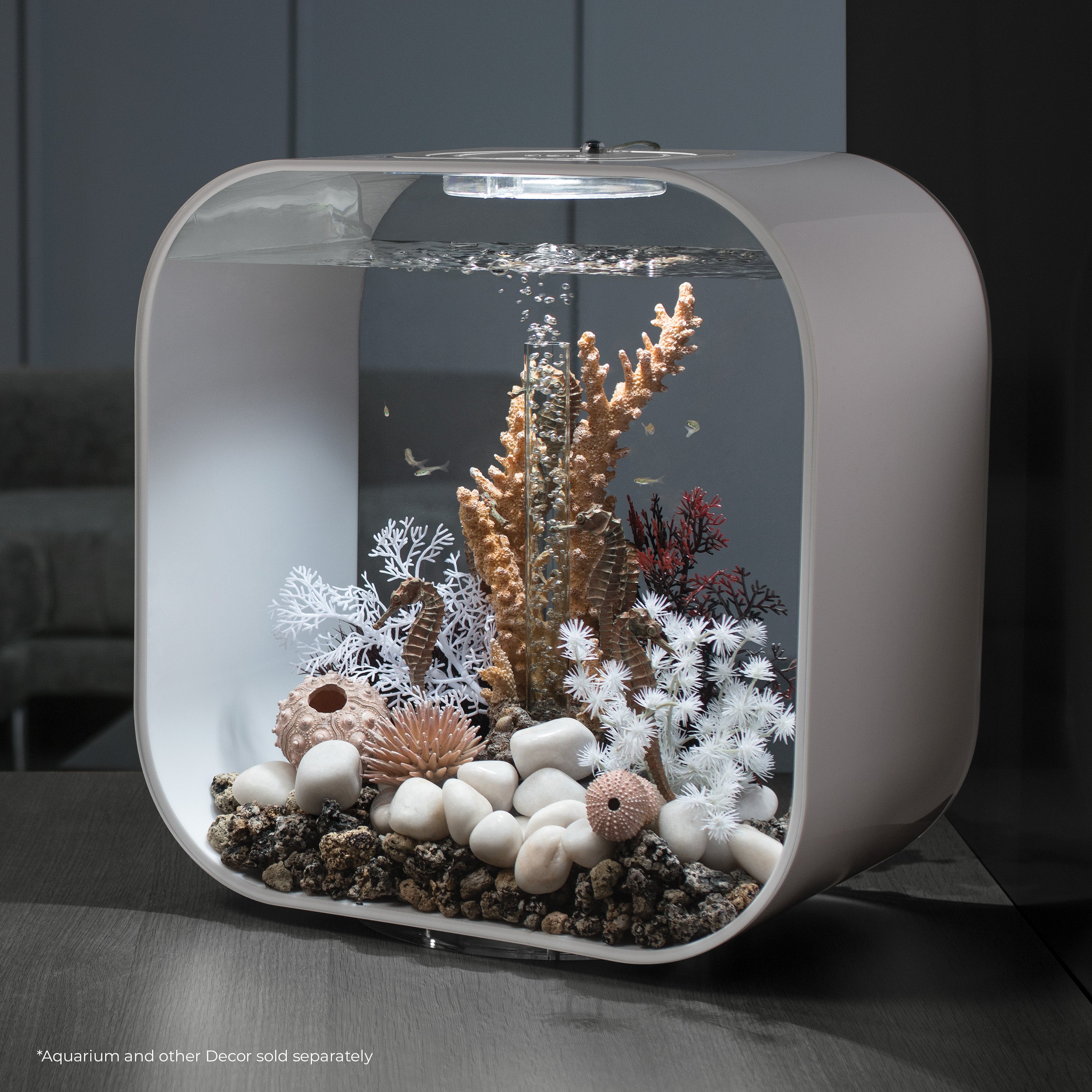 Seahorses on Coral Sculpture, medium - Natural In use