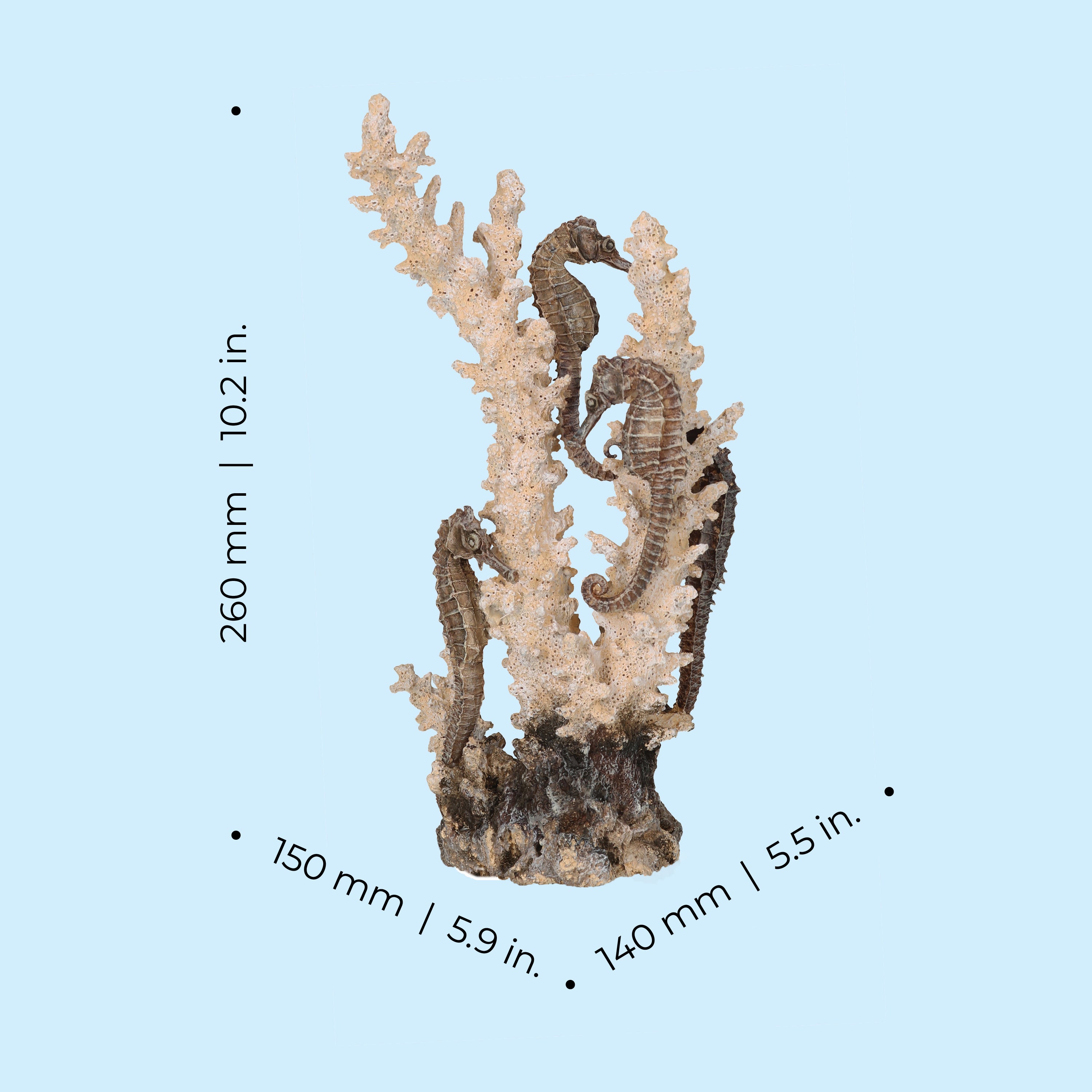Seahorses on Coral Sculpture, medium - Dimensions