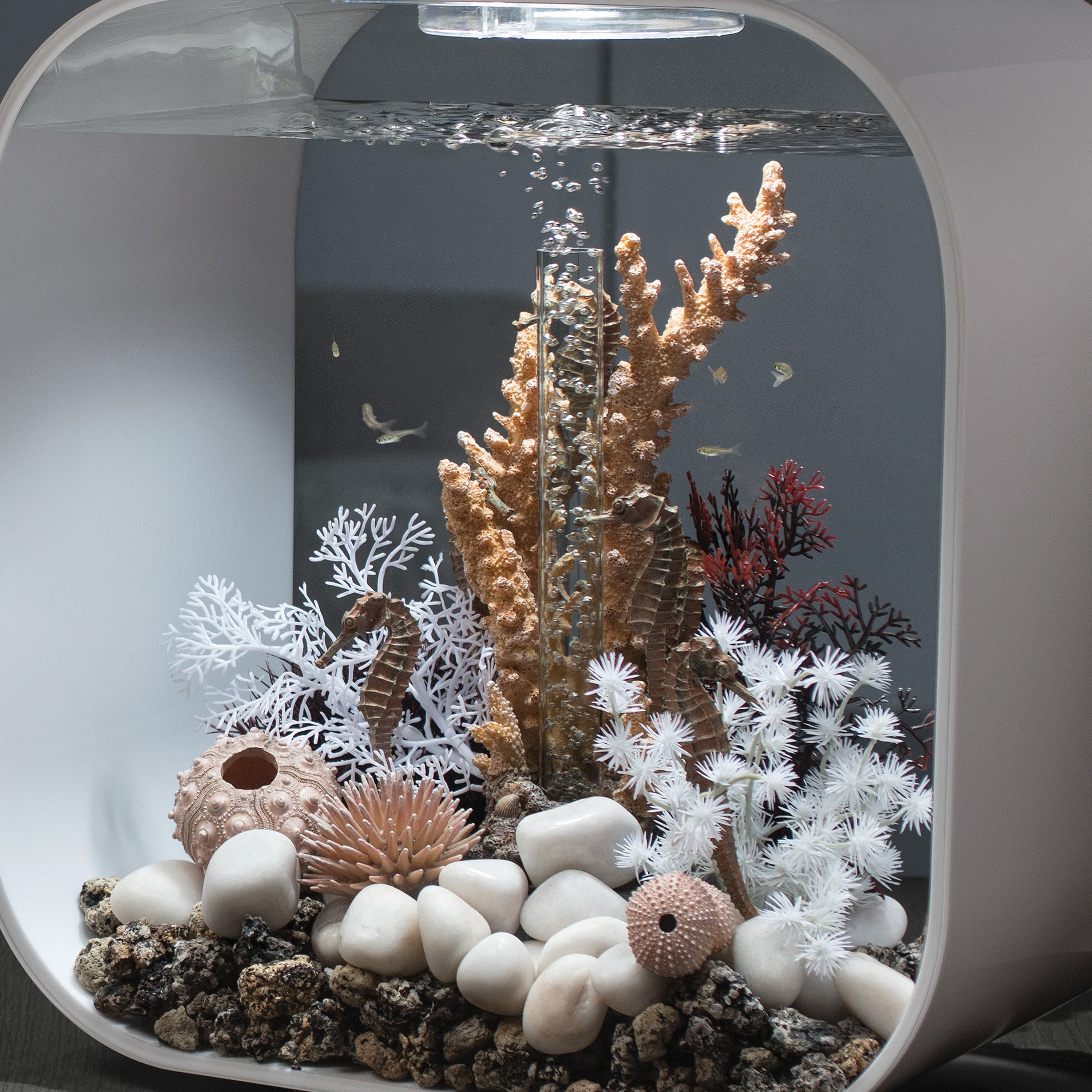 Seahorses on Coral Sculpture, medium - In use