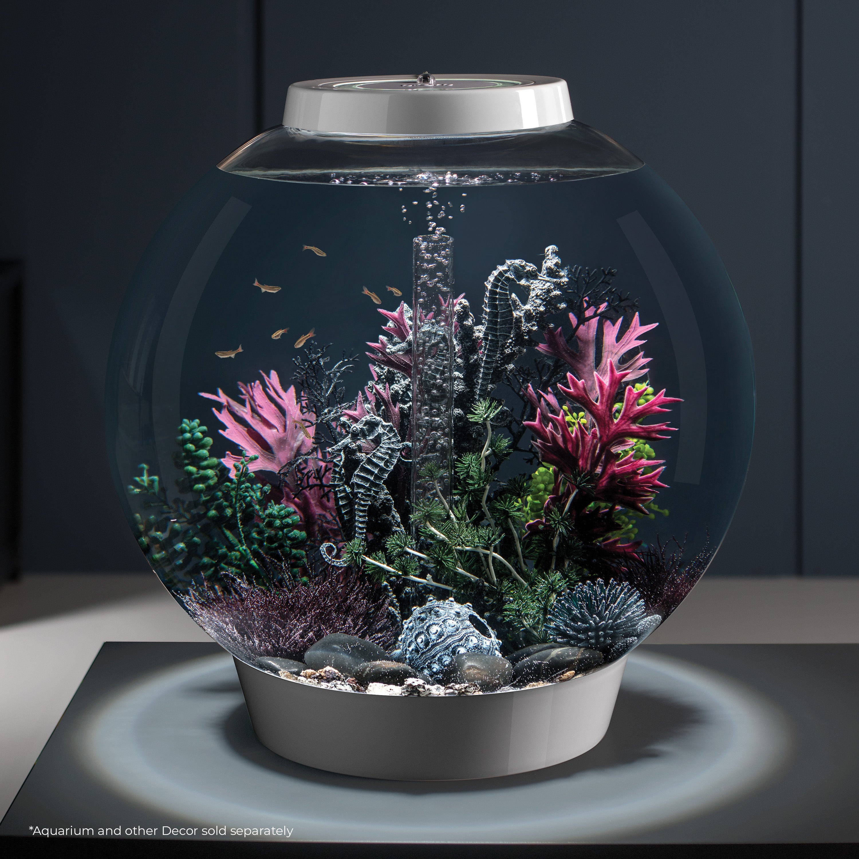 Seahorses on Coral Sculpture, medium - Black In use