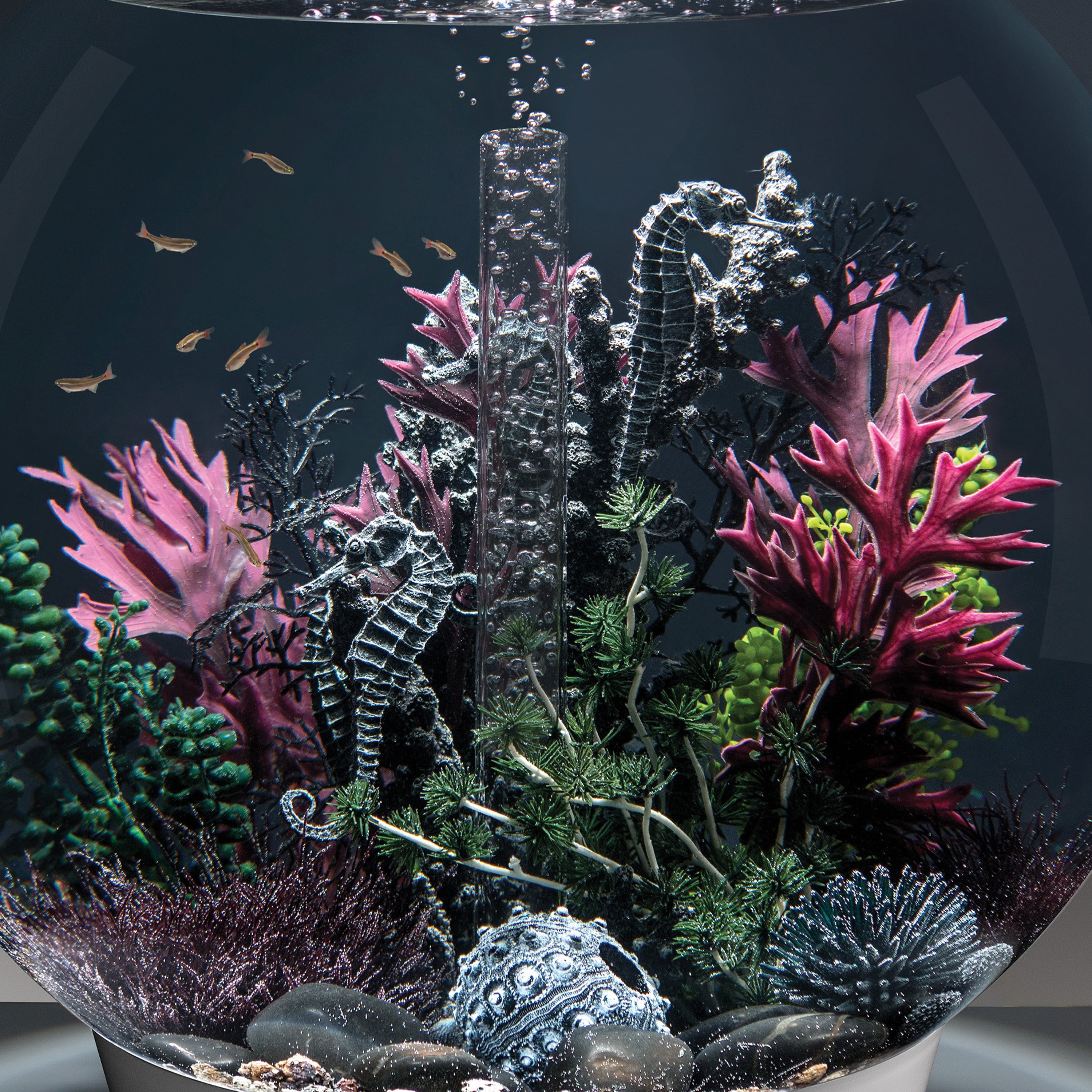 Seahorses on Coral Sculpture, medium - Black In use