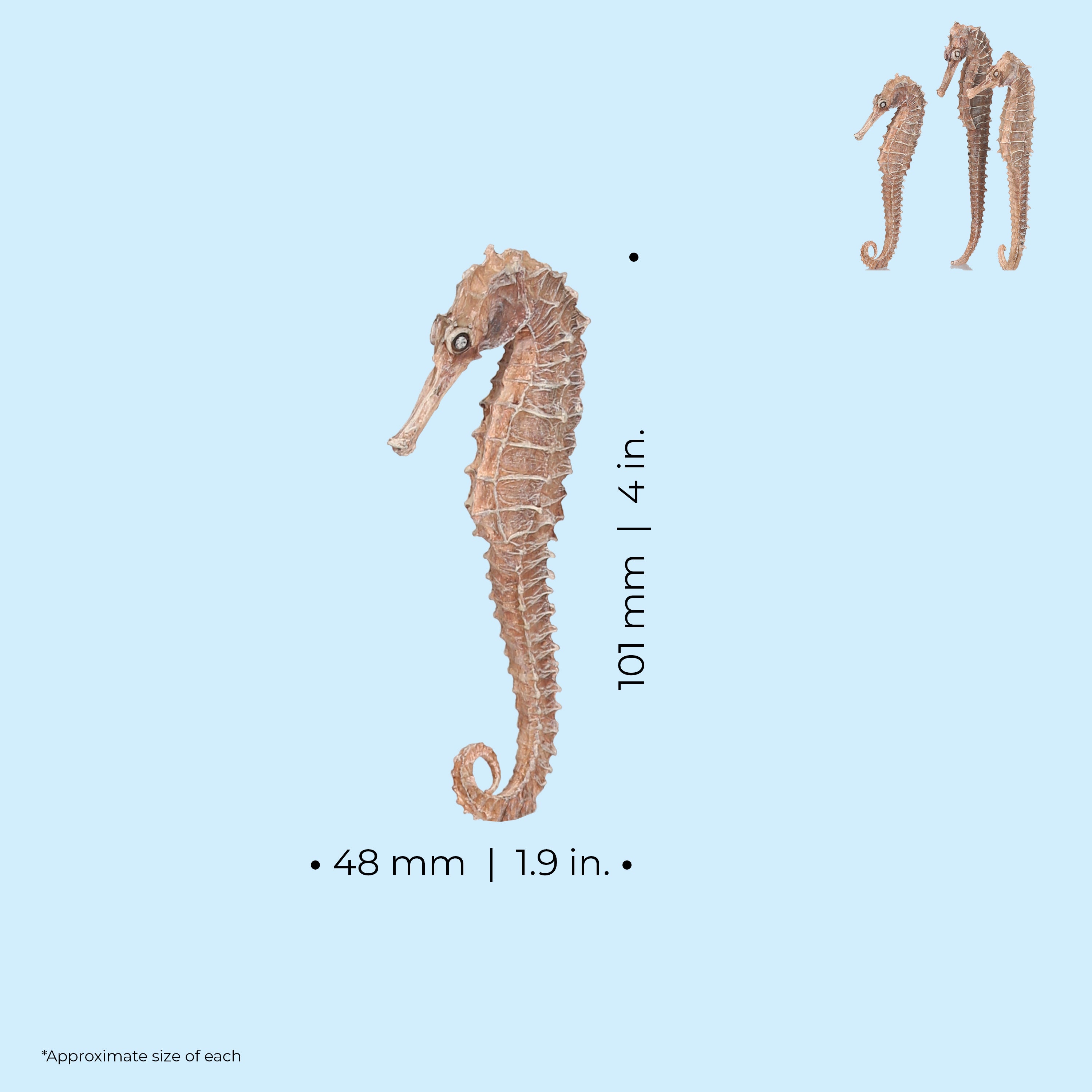 Seahorse Set - Dimensions