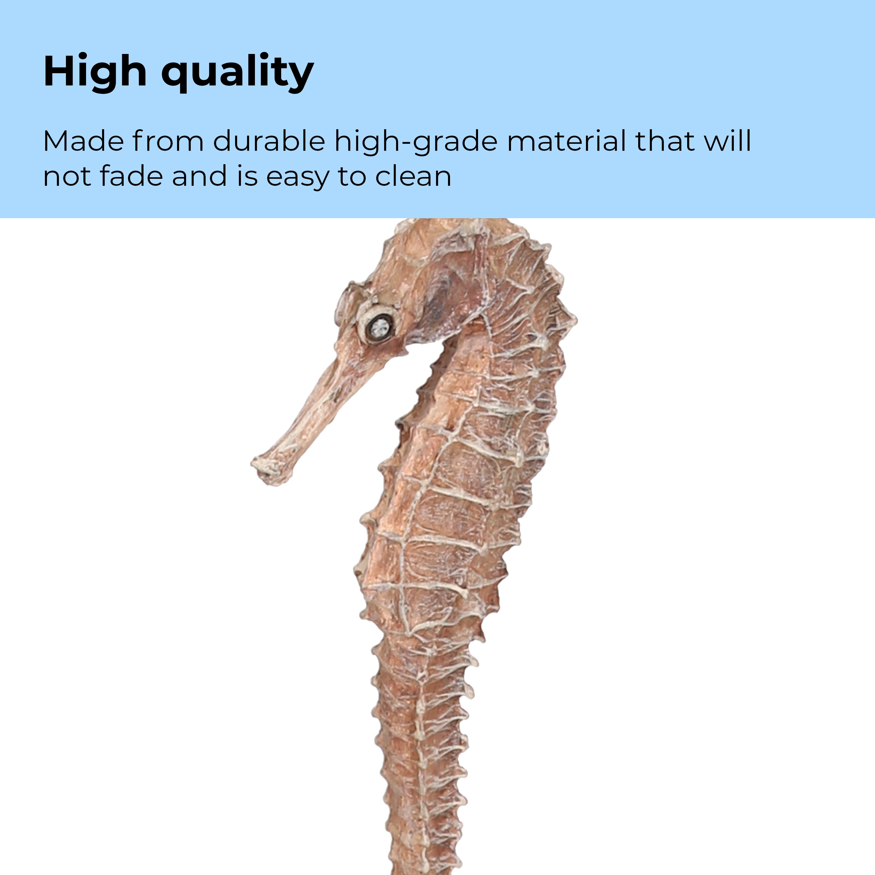 Seahorse Set - High quality