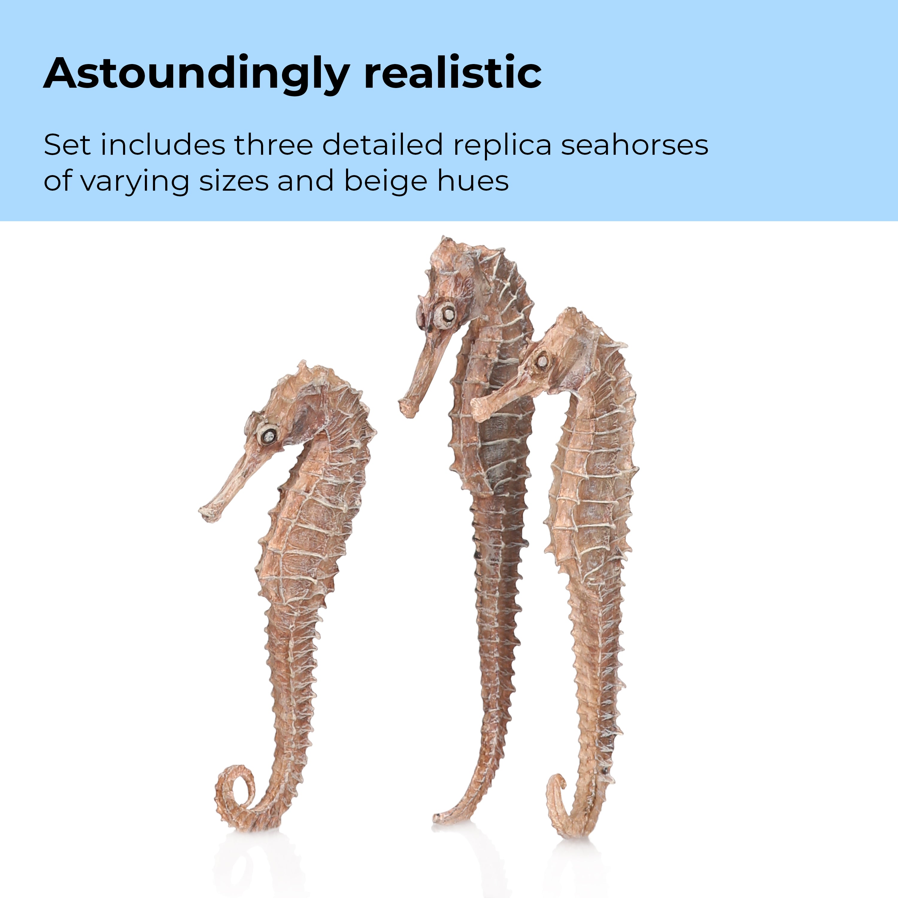Seahorse Set - Astoundingly realistic