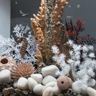Seahorse Set - Natural In use