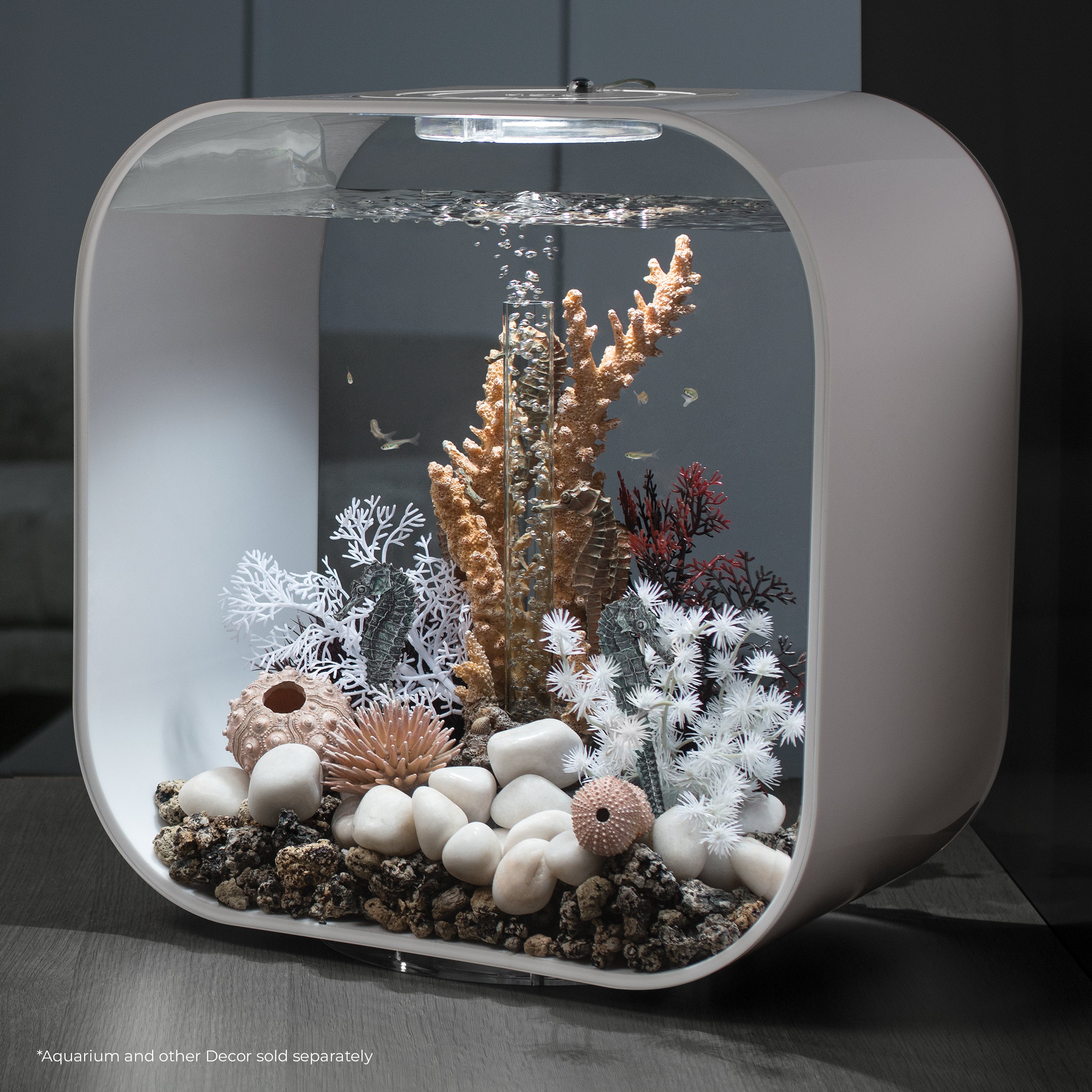 Seahorse Set - Black In use