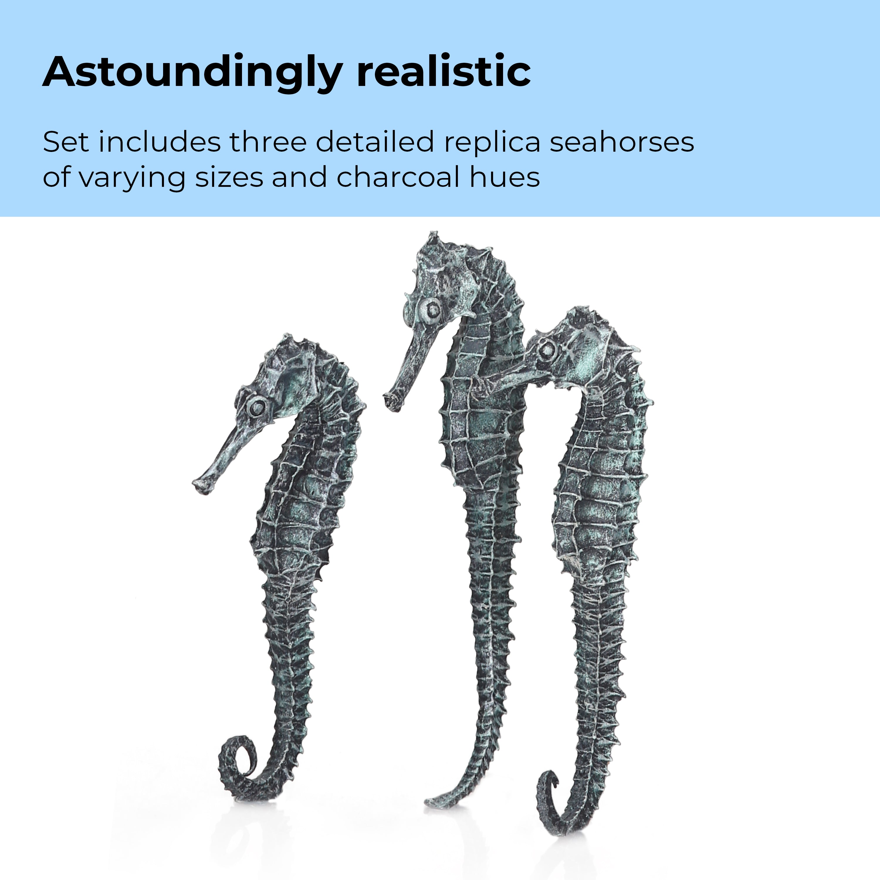 Seahorse Set - Astoundingly realistic