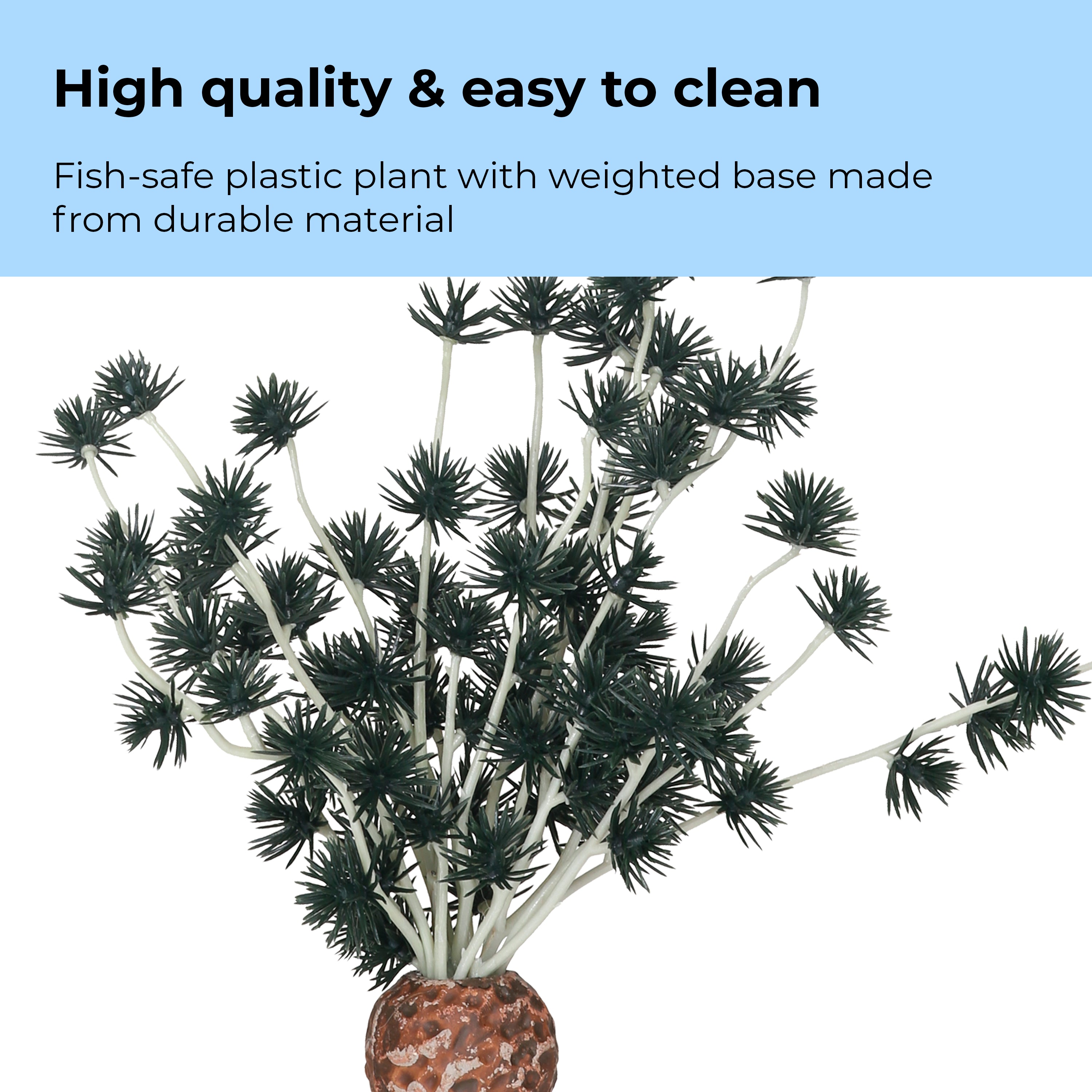 Bonsai Ball - High quality & easy to clean