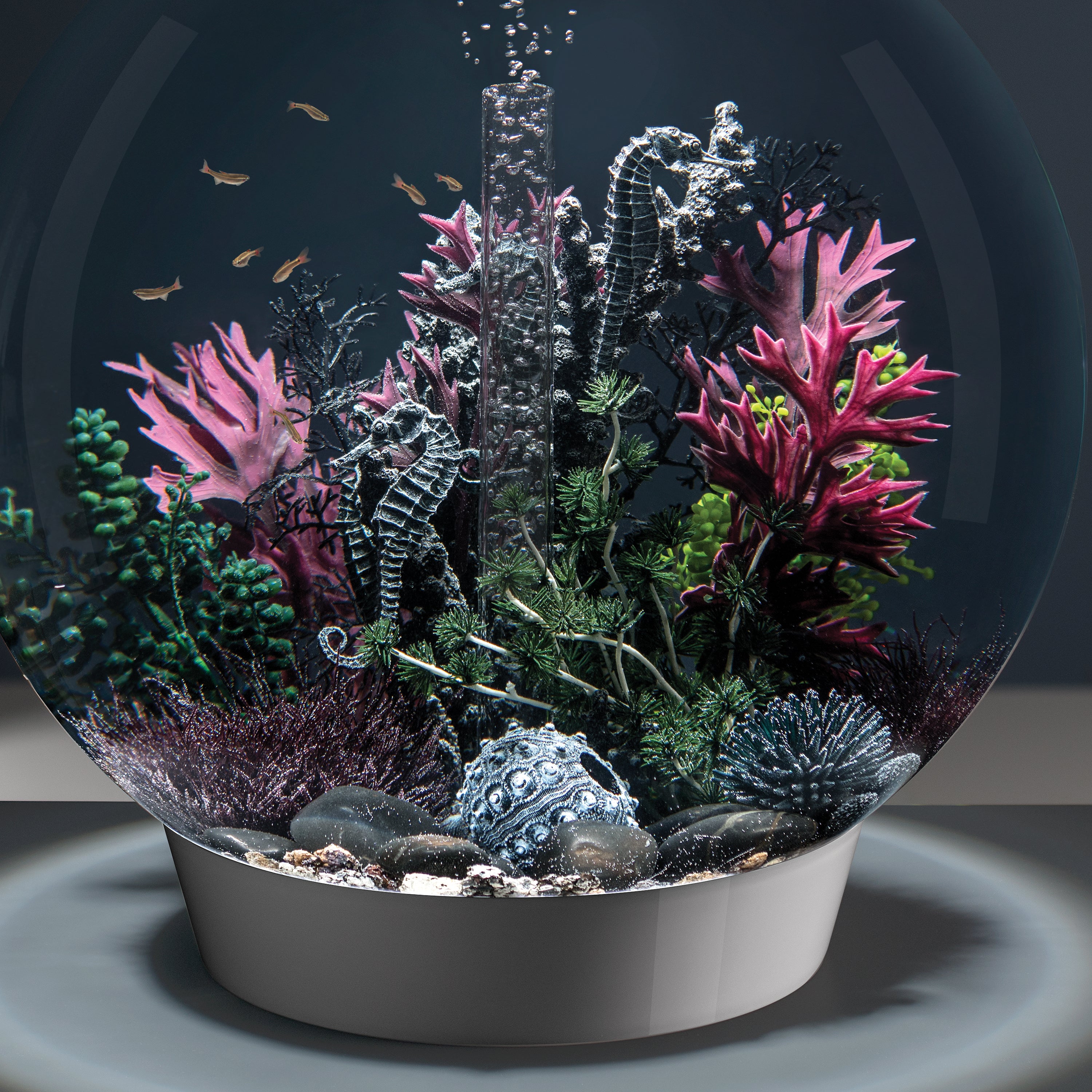 Bonsai Ball - Black In use