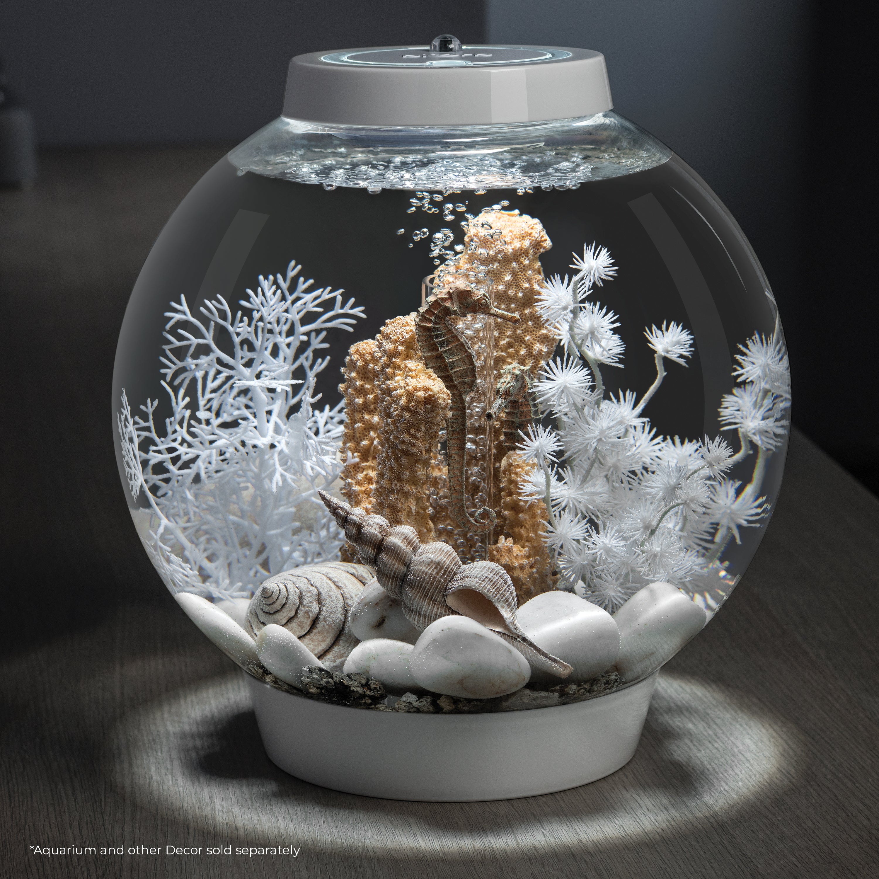 Bonsai Ball - White In use
