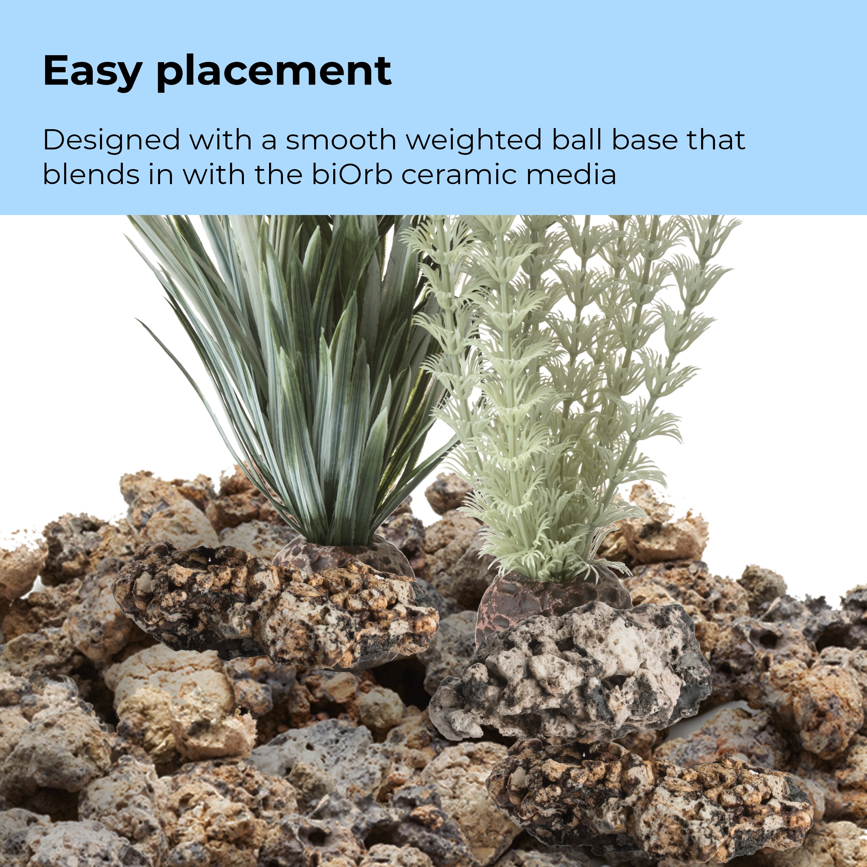 Grey-Green Ambulia Plant Set, small - Easy placement