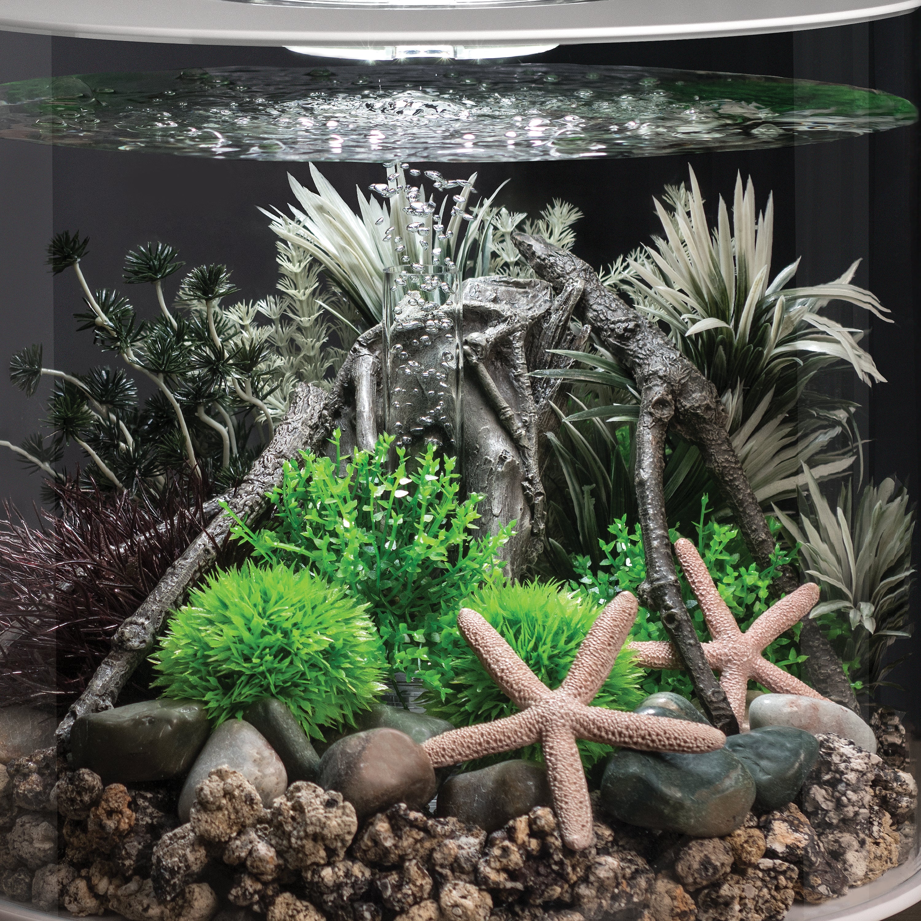 Grey-Green Ambulia Plant Set, small - In use