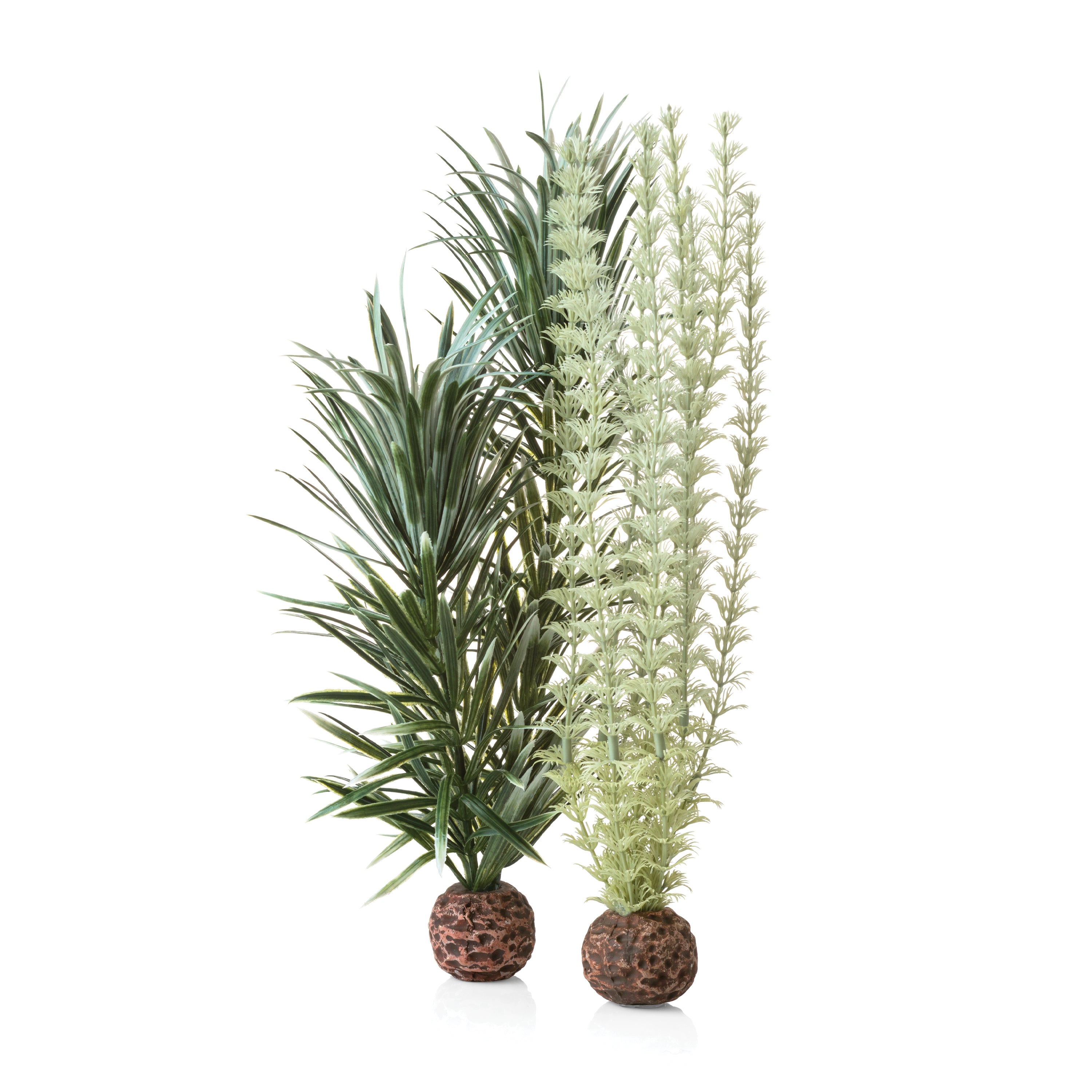 Grey-Green Ambulia Plant Set, medium