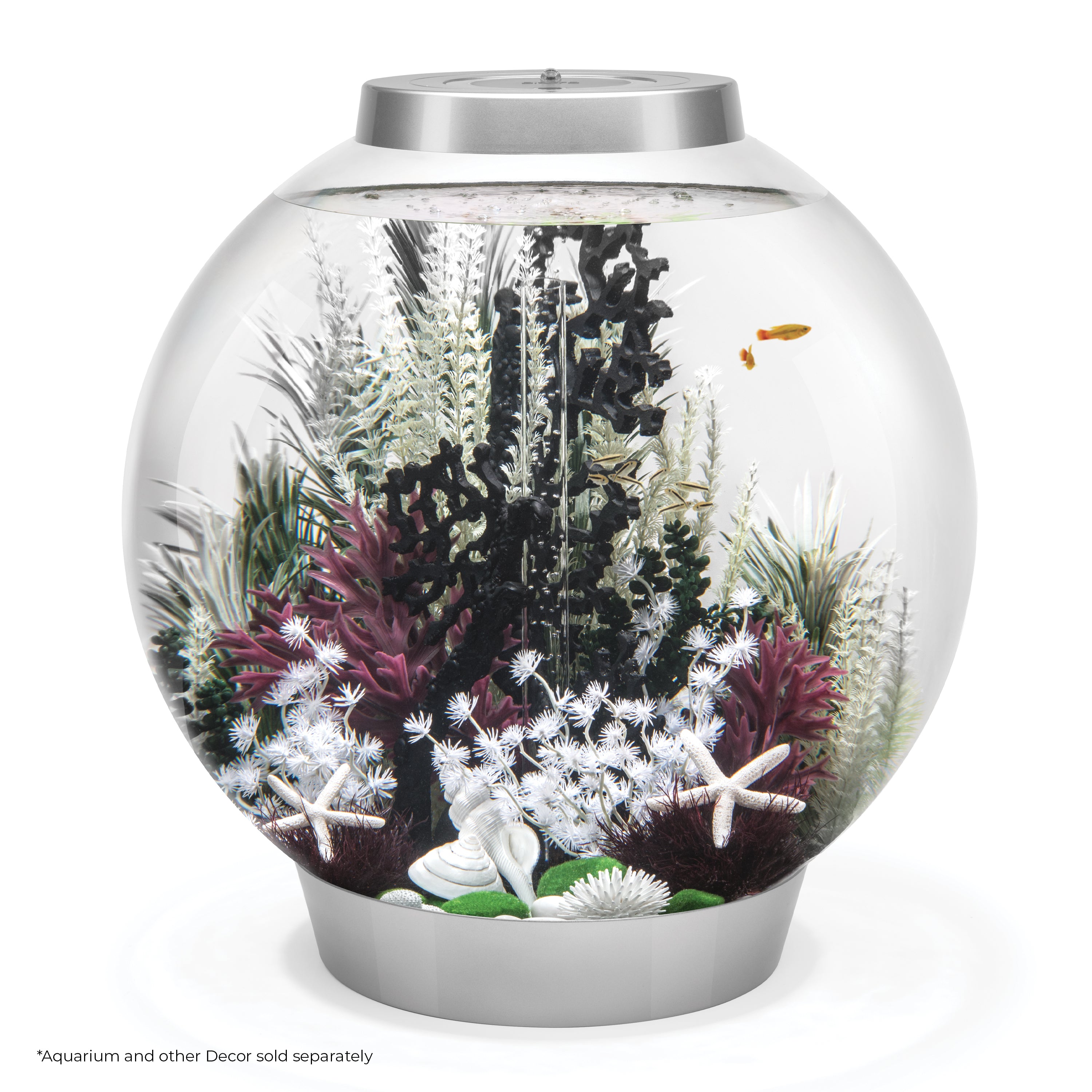 Grey-Green Ambulia Plant Set, medium - In use