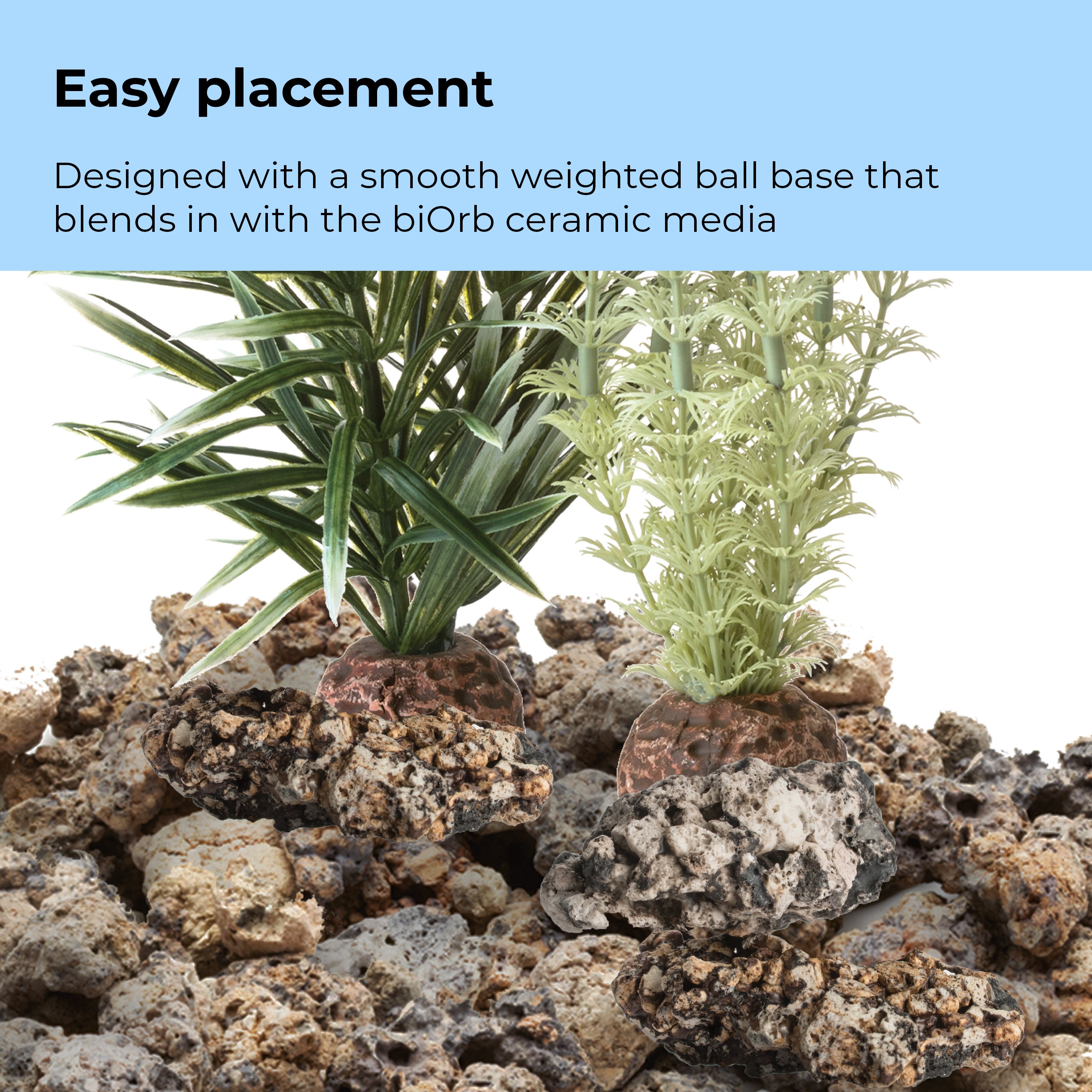 Grey-Green Ambulia Plant Set, medium - Easy placement