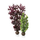 Olive Green Seapearls & Kelp Plant Set, medium