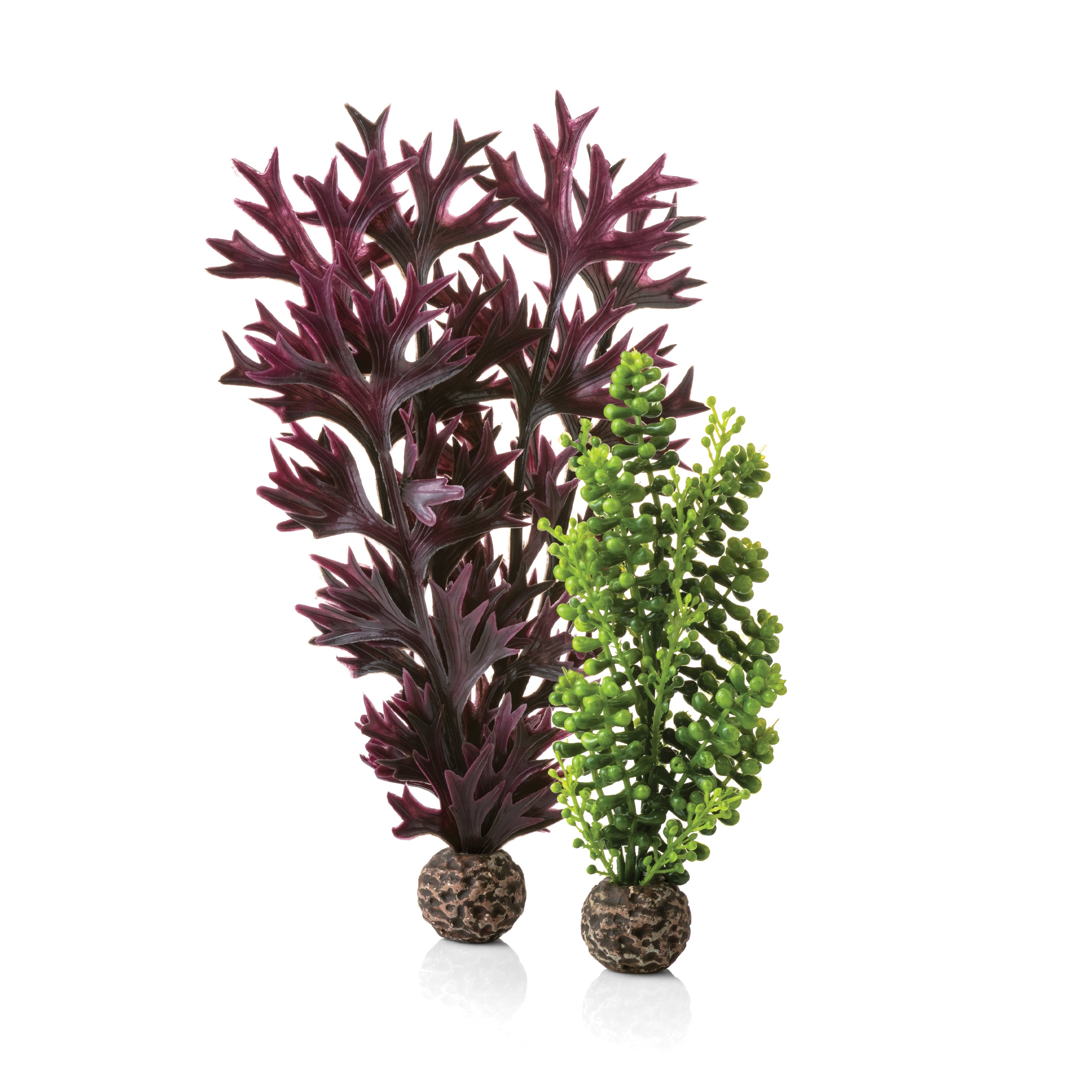 Olive Green Seapearls & Kelp Plant Set, medium