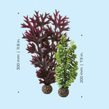 Olive Green Seapearls & Kelp Plant Set, medium - Dimensions
