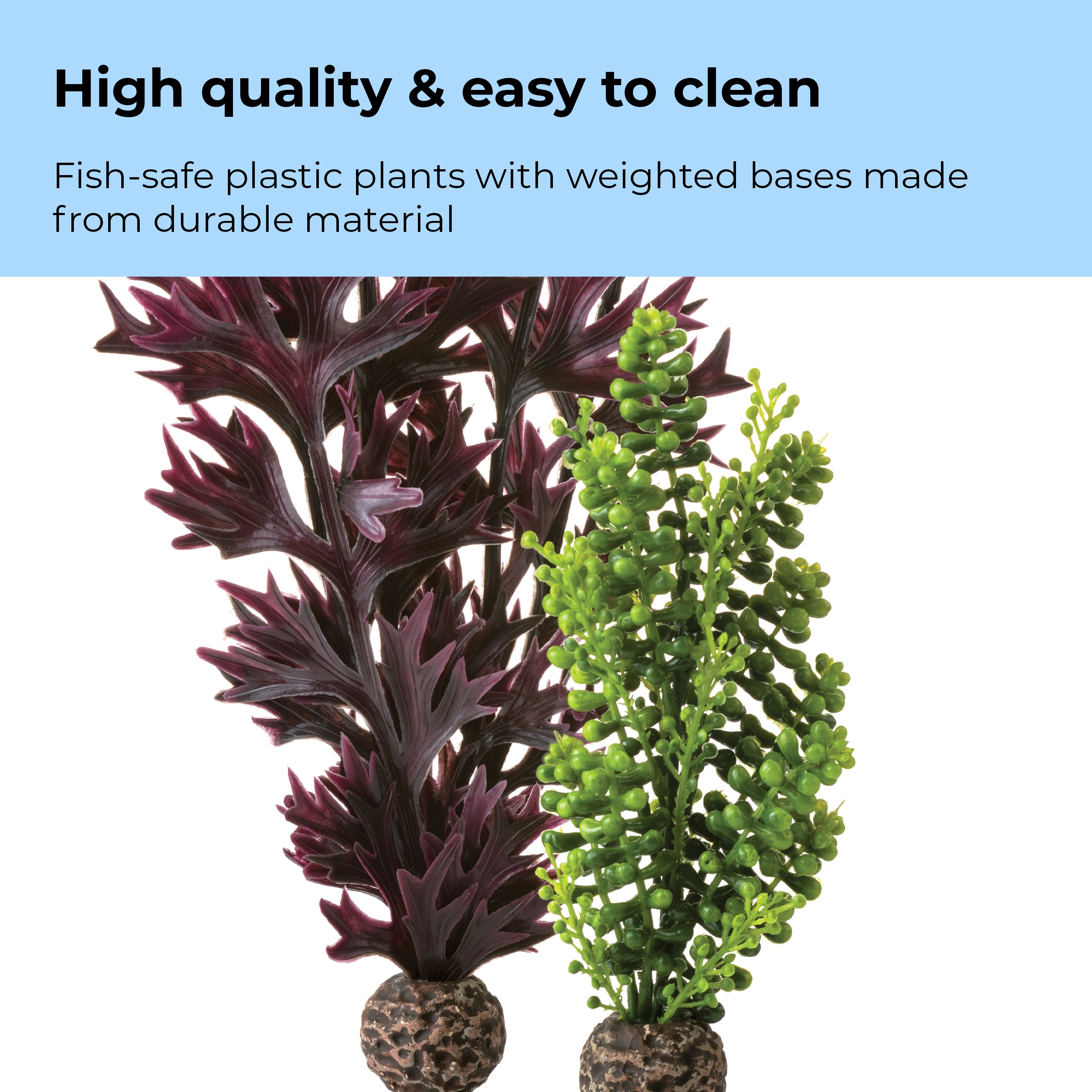 Olive Green Seapearls & Kelp Plant Set, medium - High quality & easy to clean