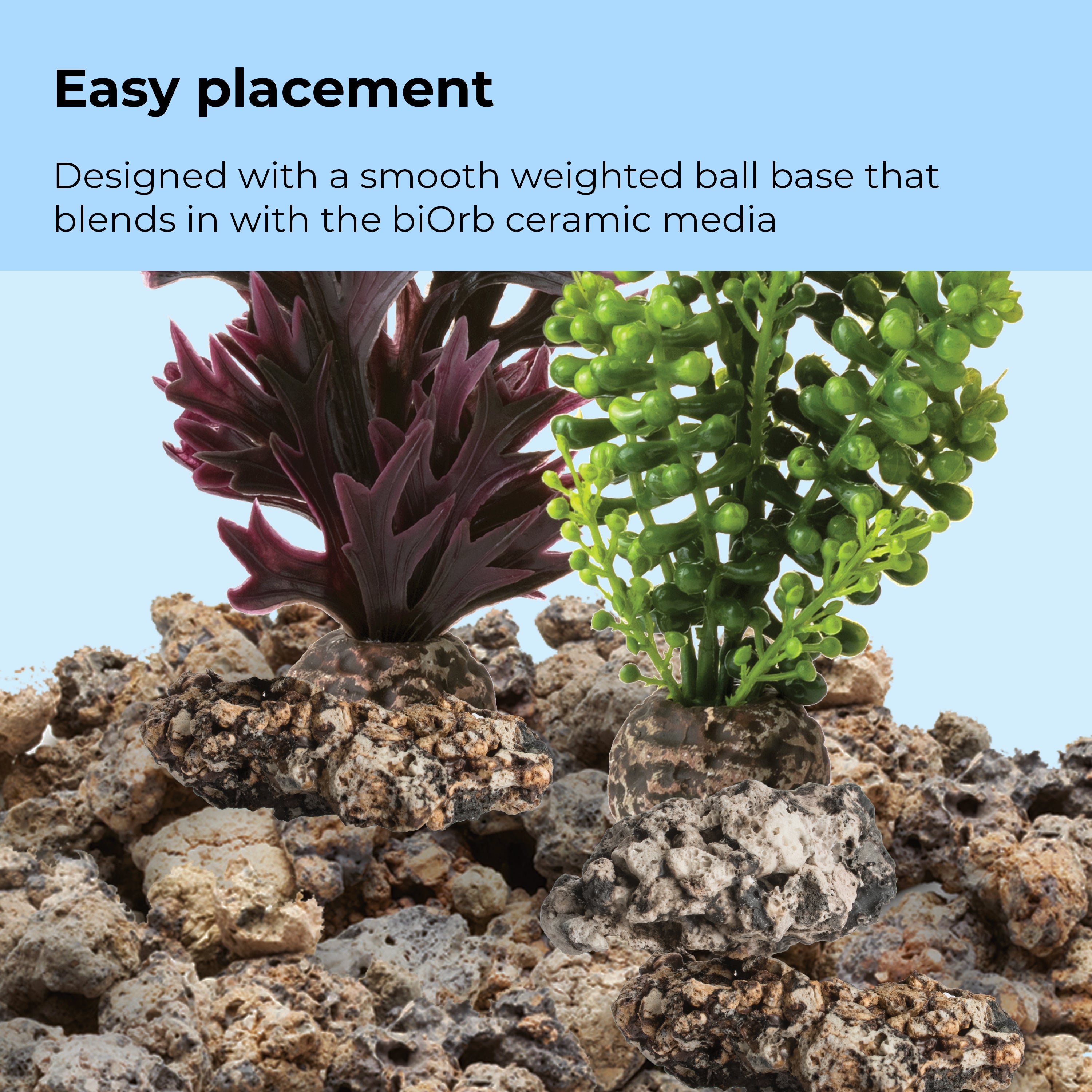 Olive Green Seapearls & Kelp Plant Set, medium - Easy placement