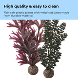 Dark Green Seapearls & Kelp Plant Set, small - High quality & easy to clean
