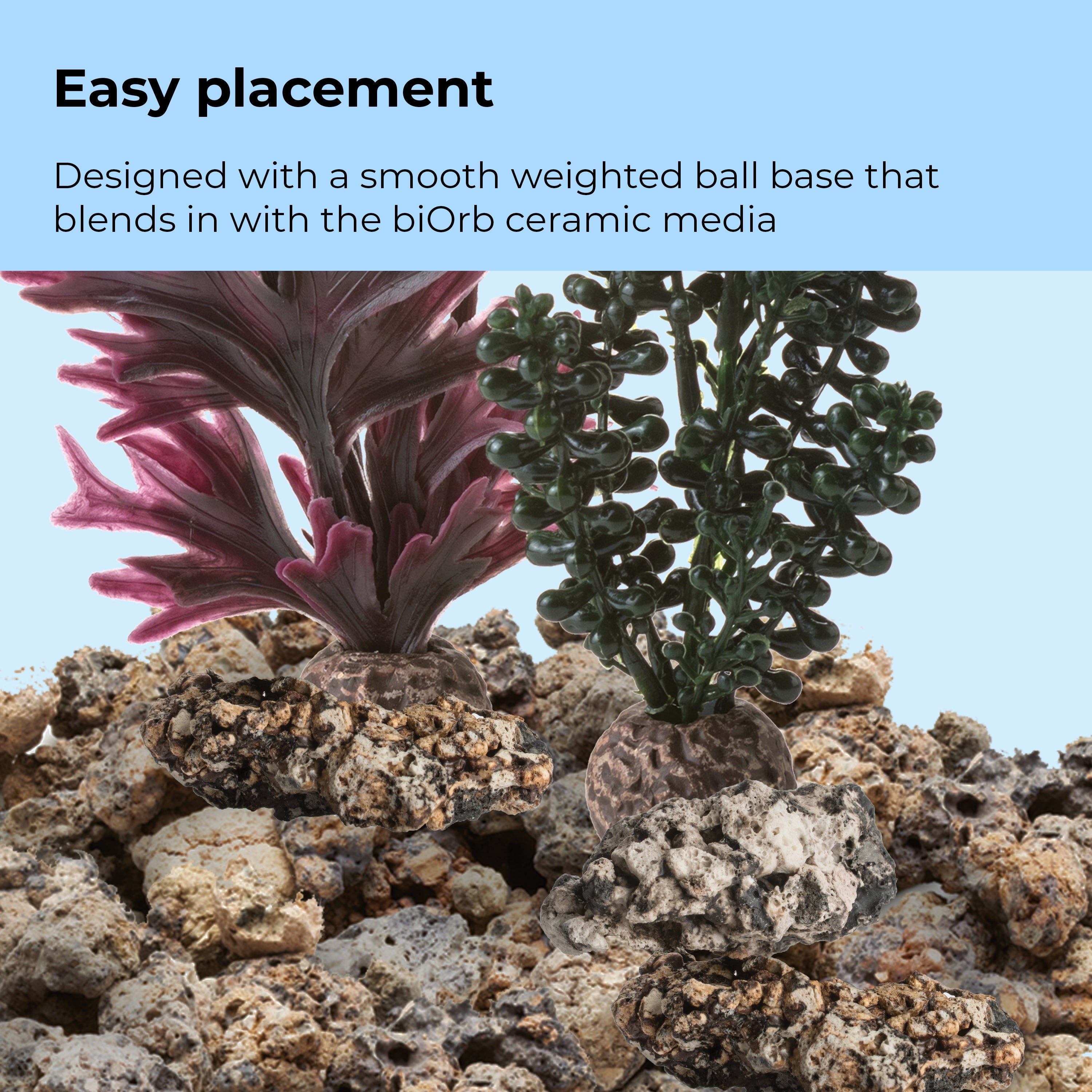 Dark Green Seapearls & Kelp Plant Set, small - Easy placement