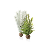 Thistle Fern Plant Set, small grey/green