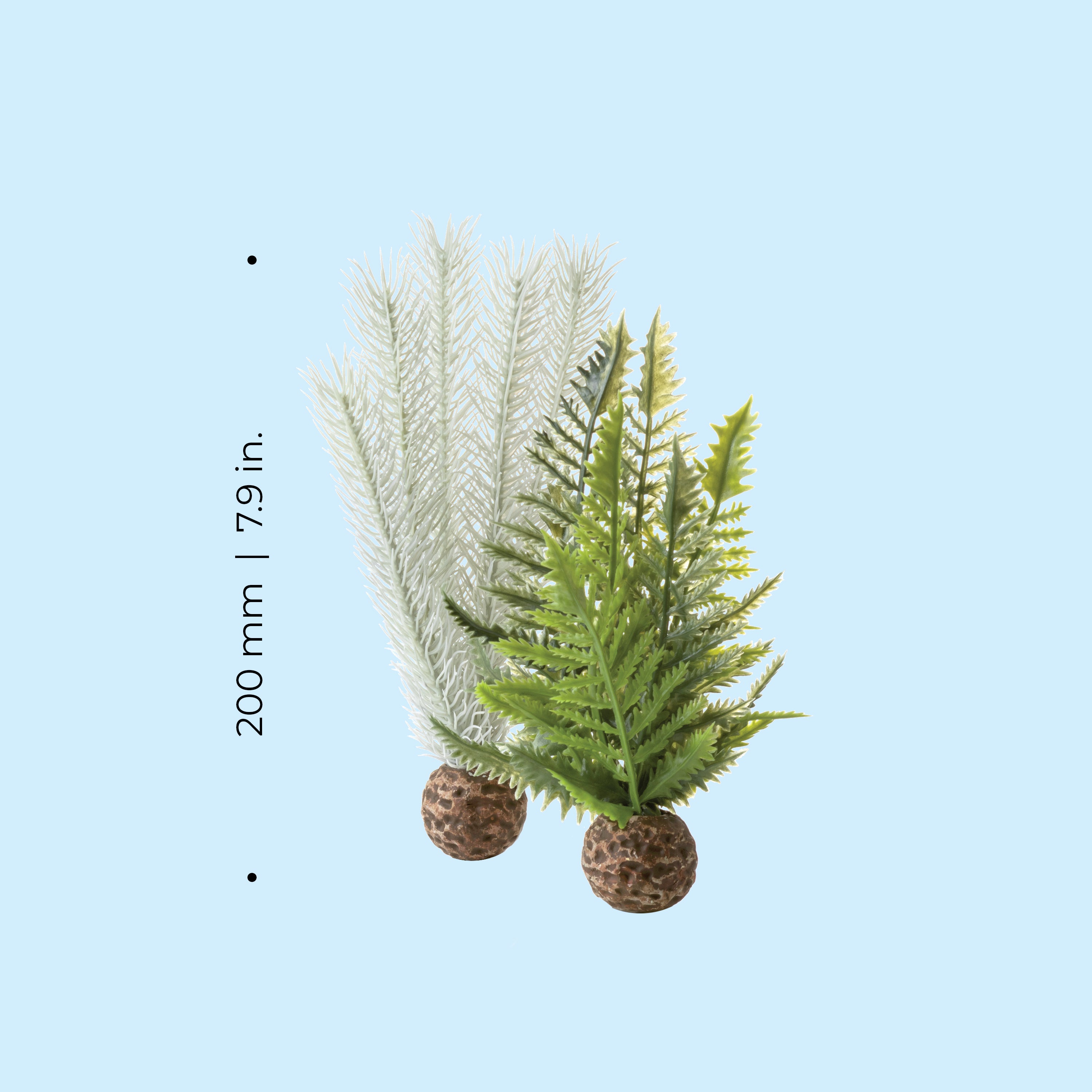Thistle Fern Plant Set, small grey/green - Dimensions