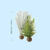 Thistle Fern Plant Set, small grey/green - Dimensions